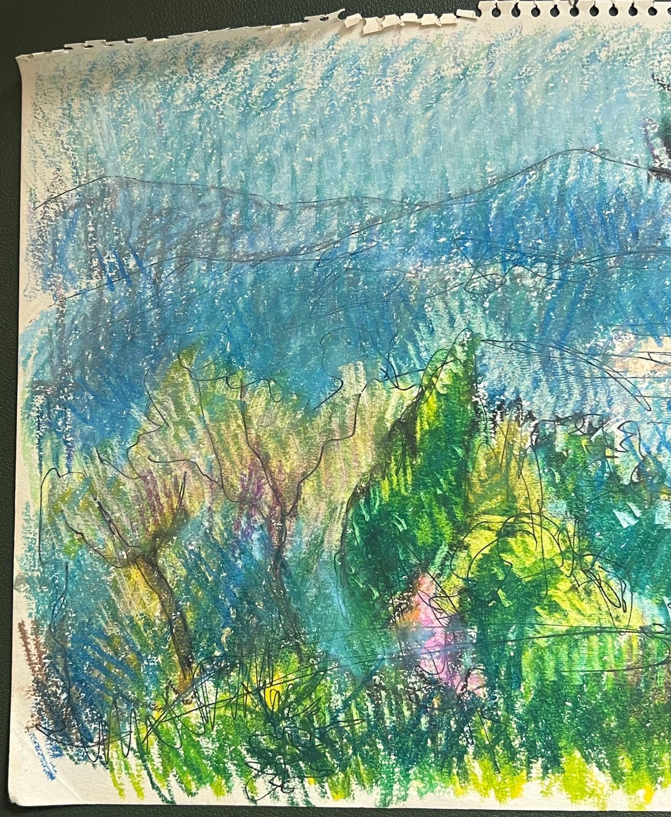 Akos Biro20th Century French Expressionist Bright Green & Blue Forest Mountain Landscape photo Art