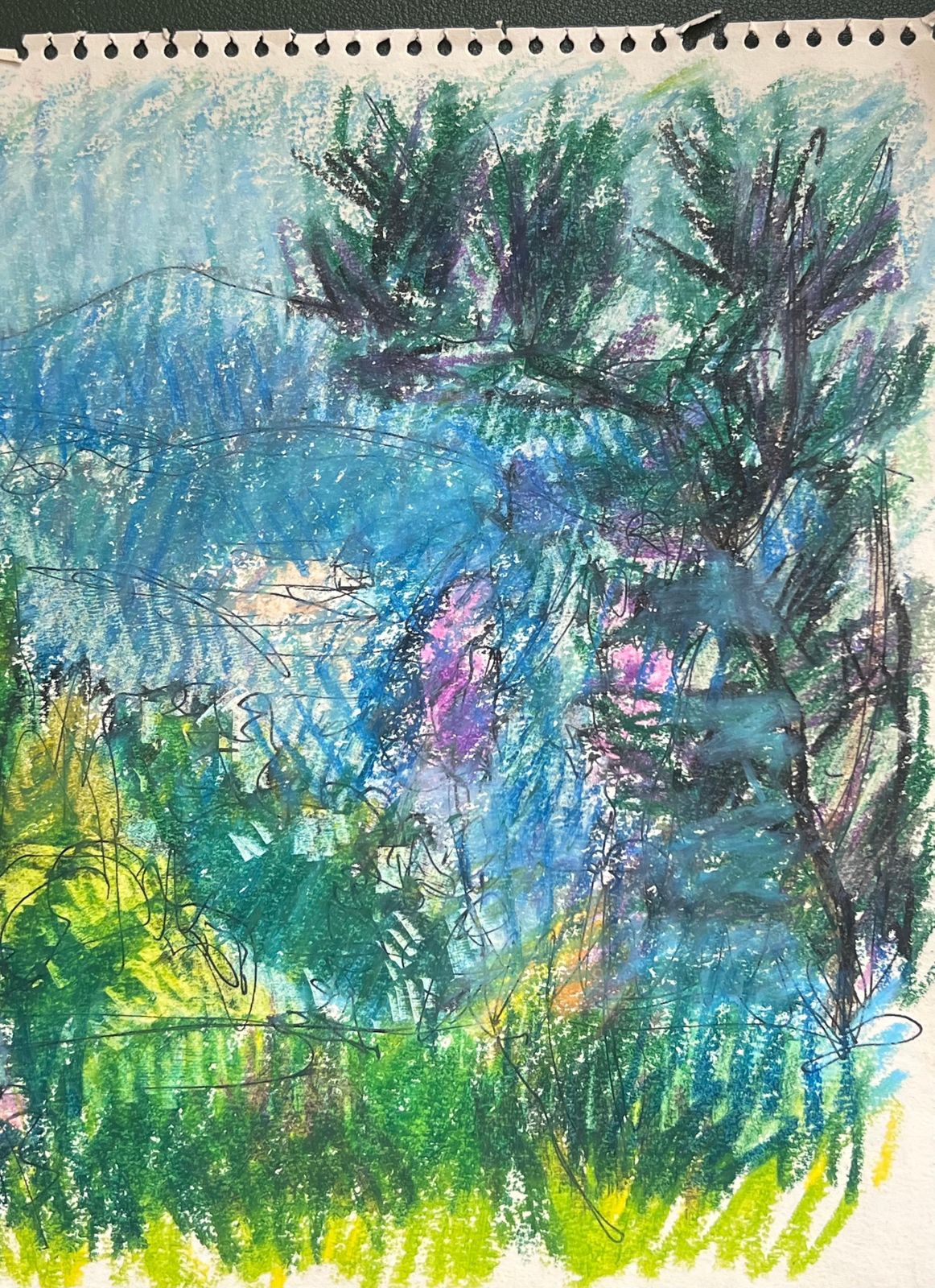 Akos Biro20th Century French Expressionist Bright Green & Blue Forest Mountain Landscape photo 244.0