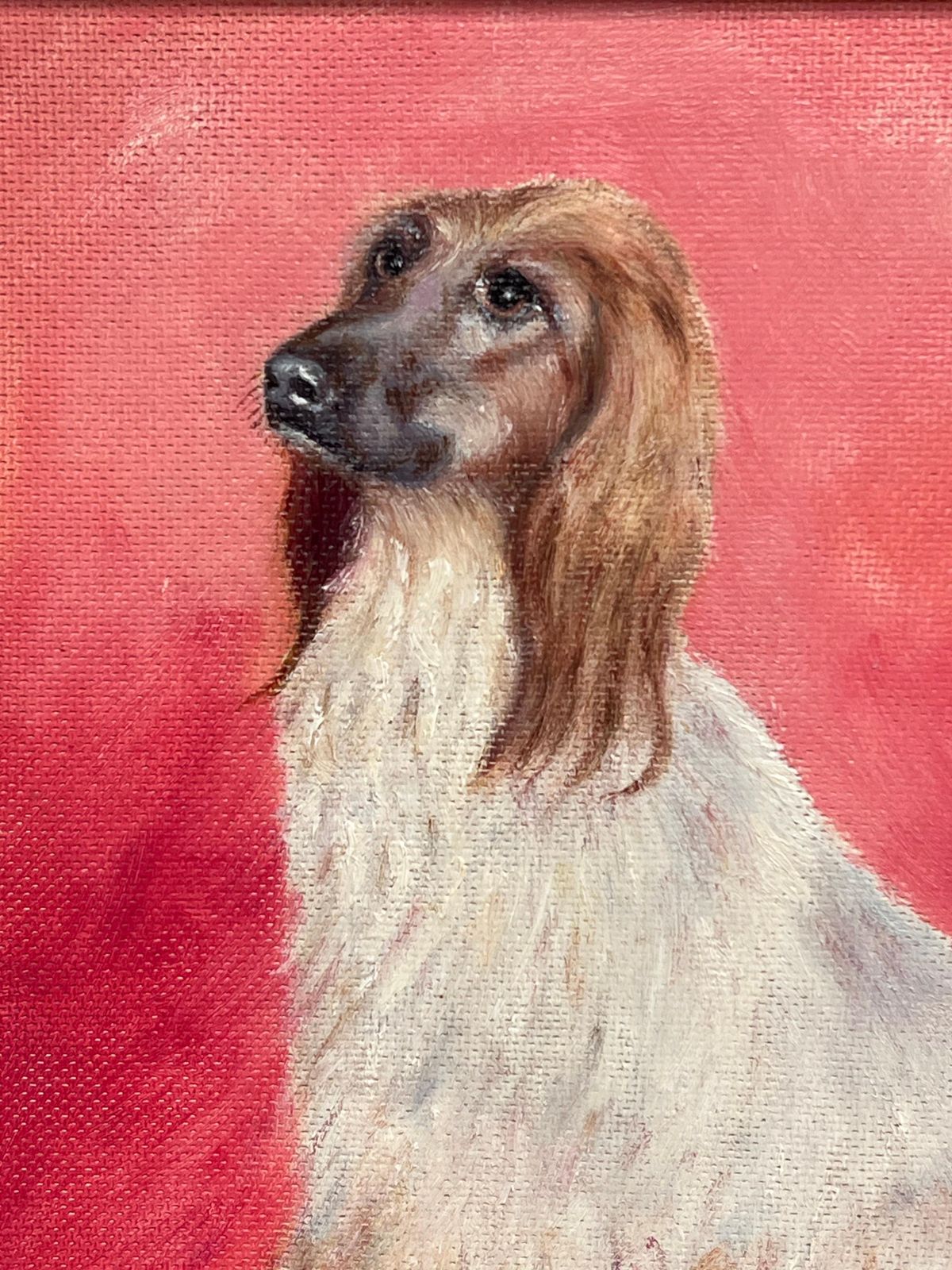 English Artistafghan Hound Long Haired Vintage Original English Dog Oil Painting Pink Back photo Art