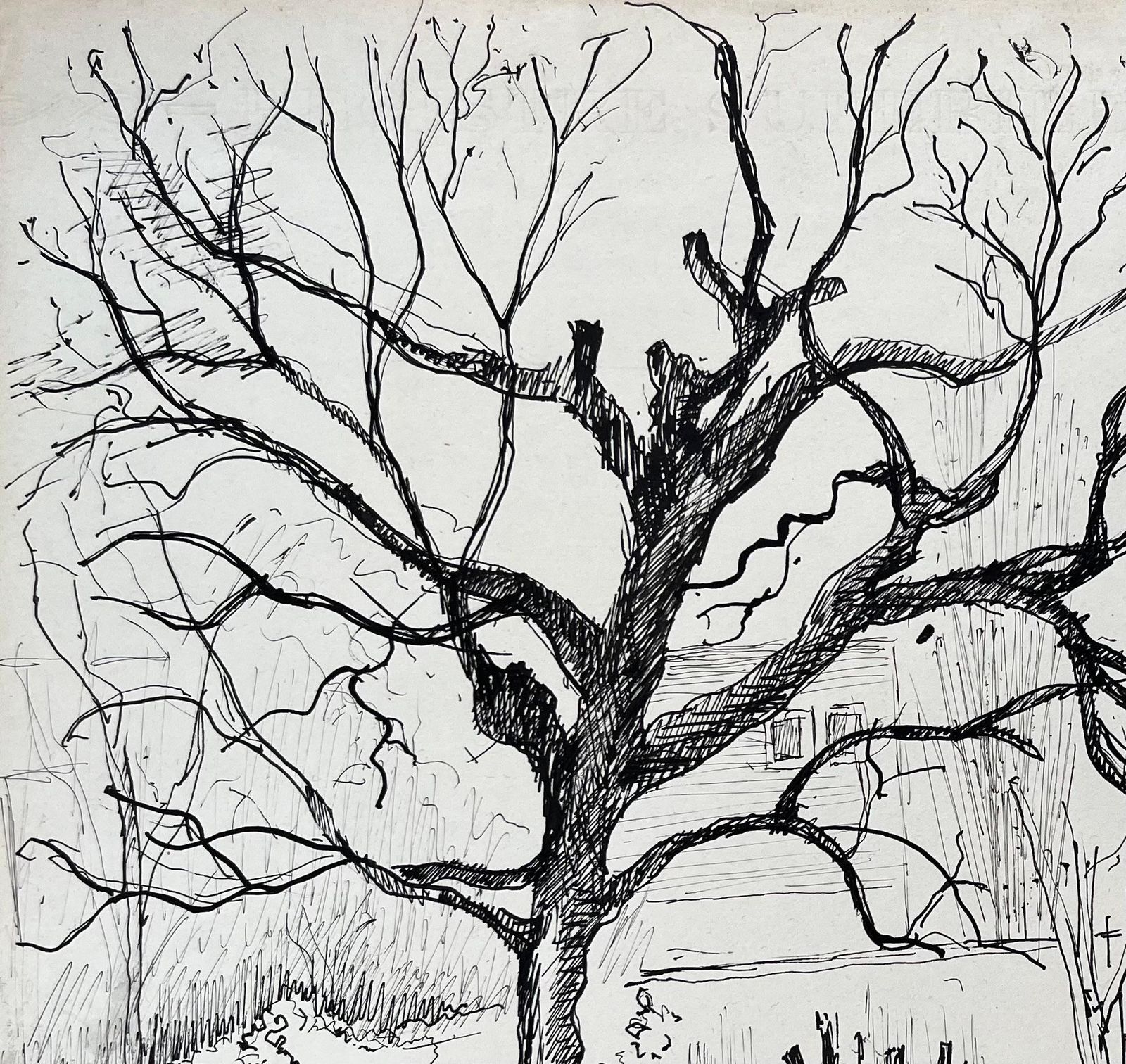 Anne Marie Migette Perardmid 20th Century Post Impressionist Ink Drawing Of Tree And Garden Pavilion photo 479.0