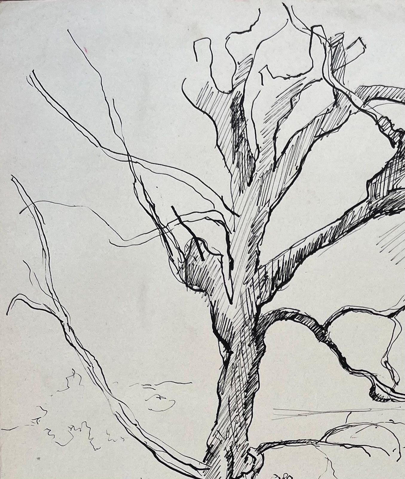 Anne Marie Migette Perardmid 20th Century Post Impressionist Ink Drawing Of Dovecote Pavilion And Tree photo 459.0
