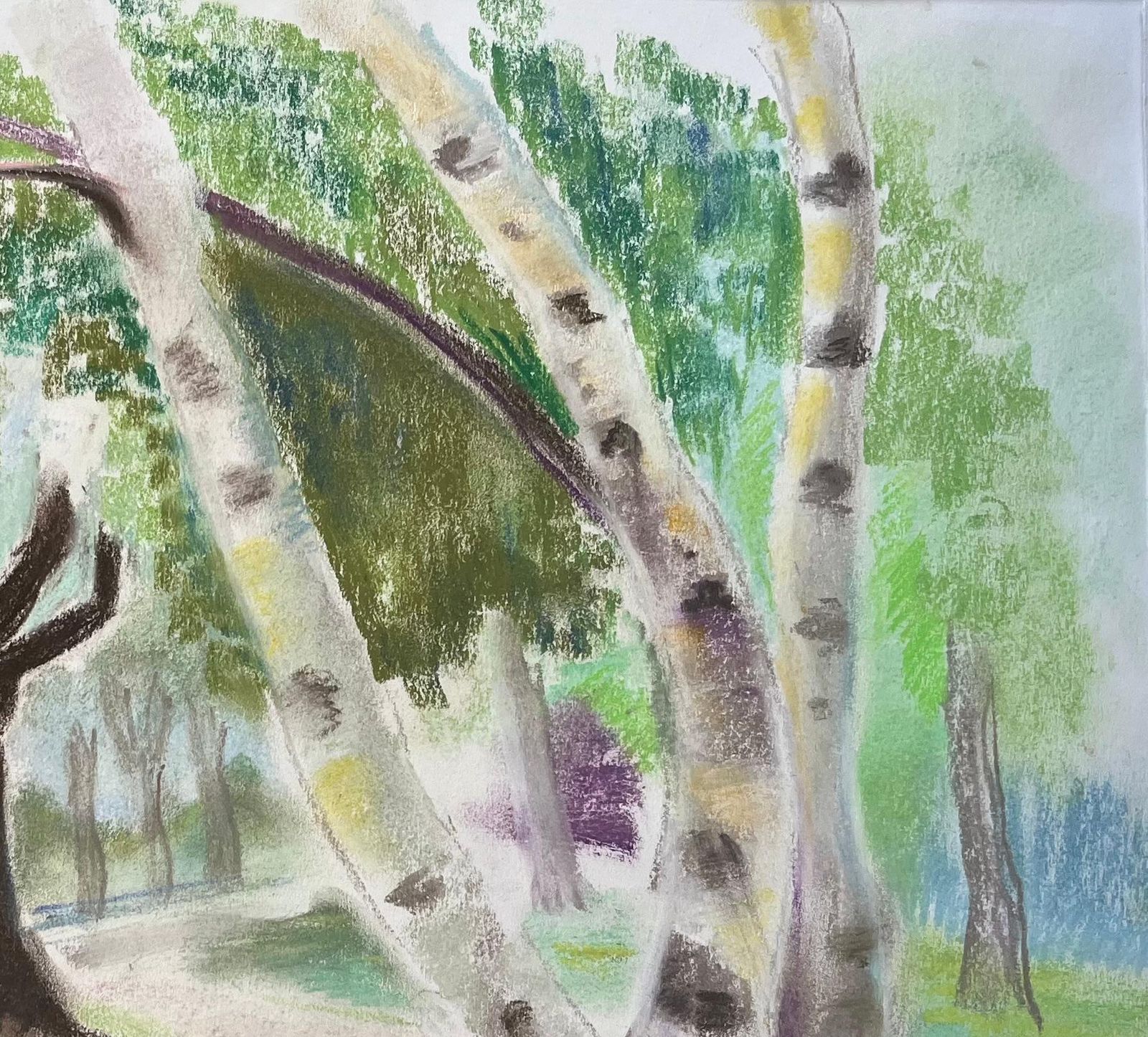 Anne Marie Migette Perardmid Century French Pastel Landscape Of Birch Trees In Summer Light photo Art