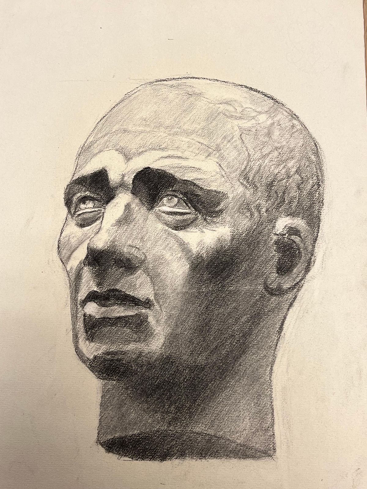 Josine Vignonmid Century French Drawing Of A Classical Bald Male Bust1945 photo 133.0