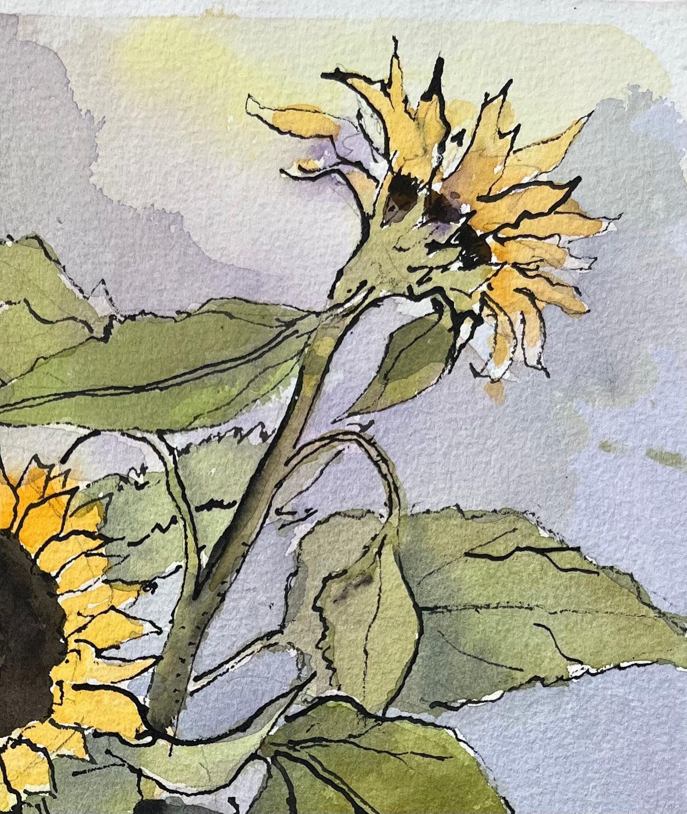 Anthony Averybritish Impressionist Watercolor Of Sunflowers In A Vase photo Art