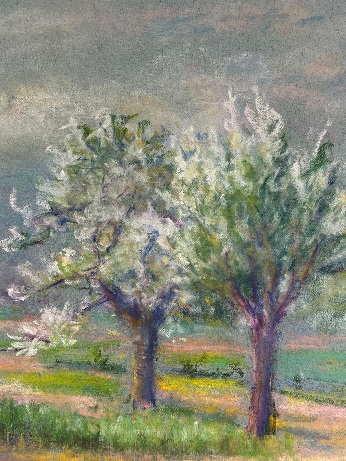Regine Davidspring Awakening Blossoming Trees Under A Moody Sky In A Pastel Landscape1947 photo for sale