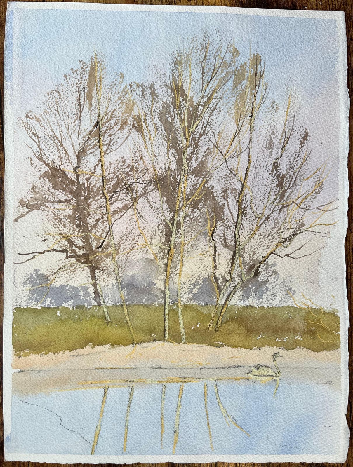 Anthony Averybritish Impressionist Watercolor Of Swan Gliding By The Riverside photo furniture