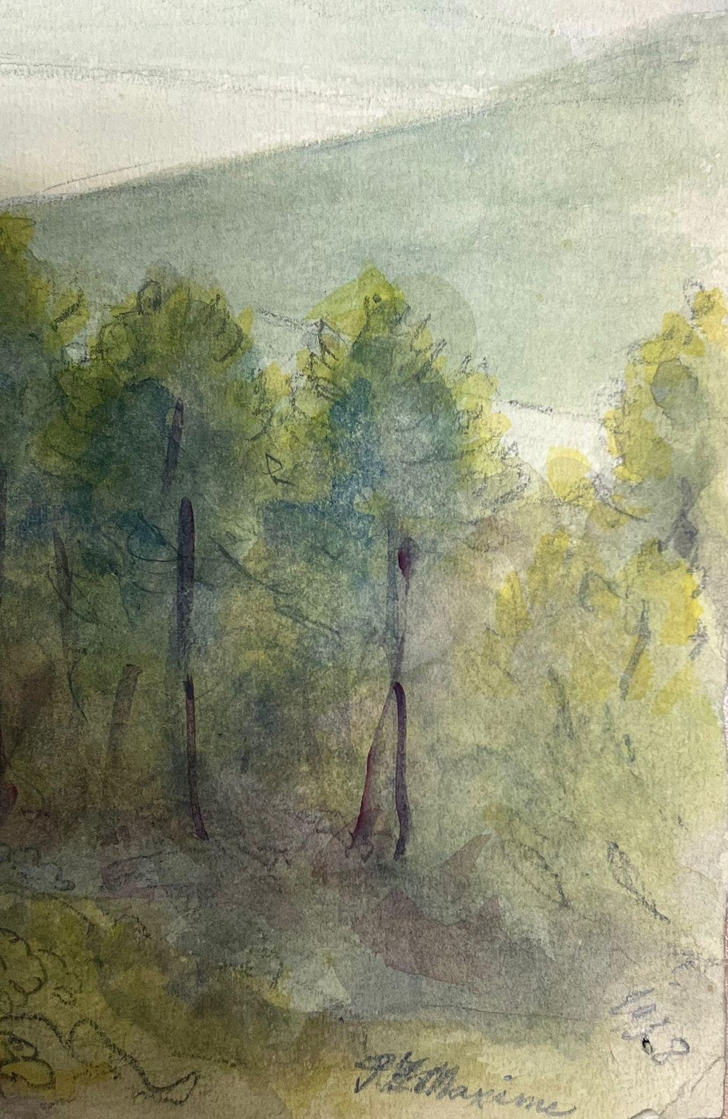 Regine Davidlandscape With A Dense Grove Of Evergreen Trees Overlooking Misty Hills1938 photo for sale