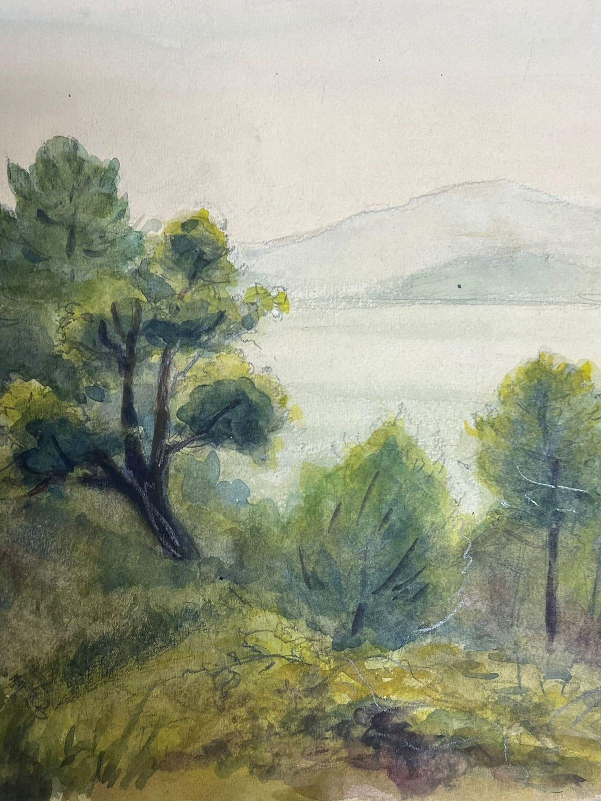 Regine Davidlandscape With A Dense Grove Of Evergreen Trees Overlooking Misty Hills1938 photo 330.0