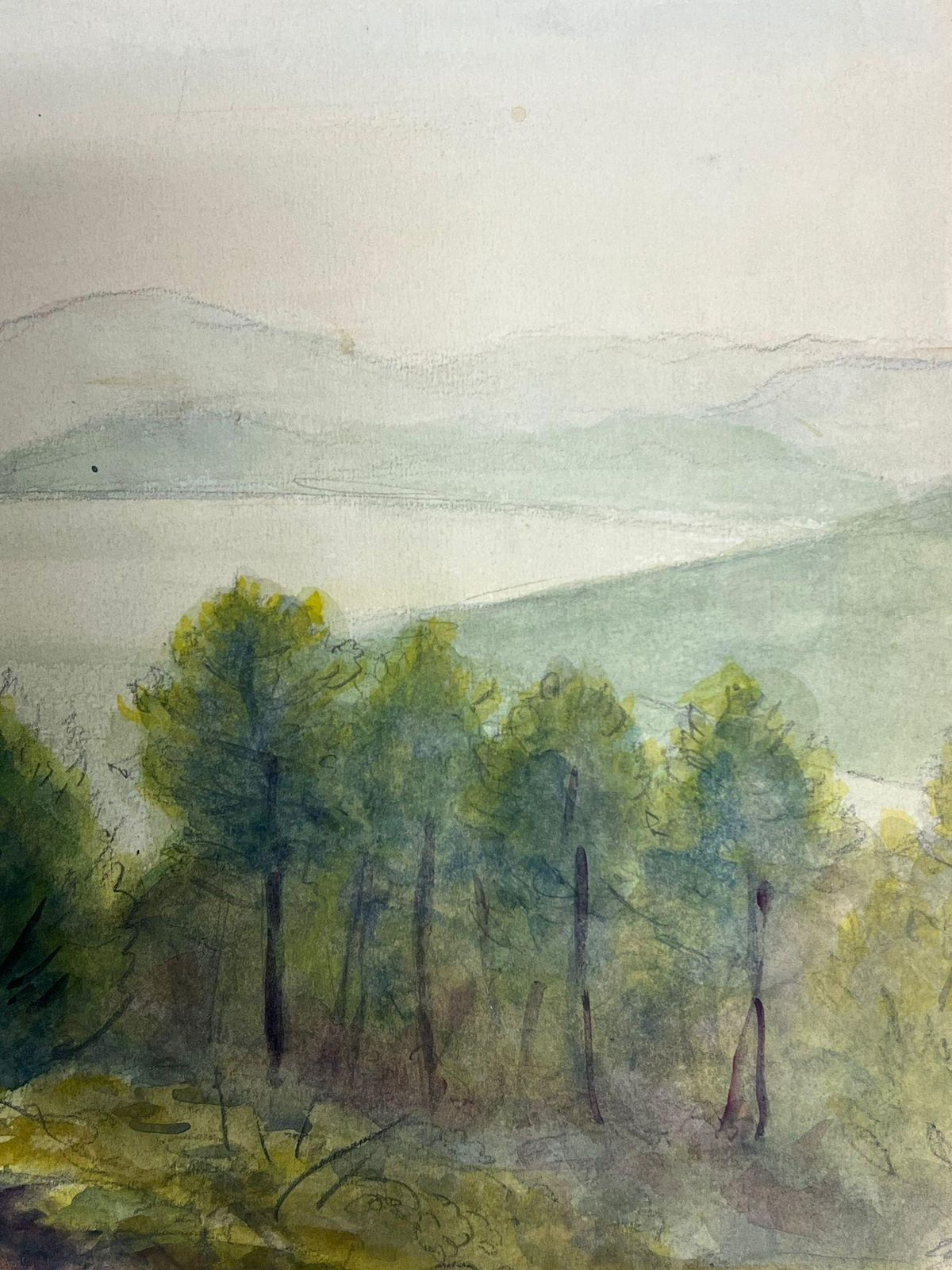 Regine Davidlandscape With A Dense Grove Of Evergreen Trees Overlooking Misty Hills1938 photo vinterior