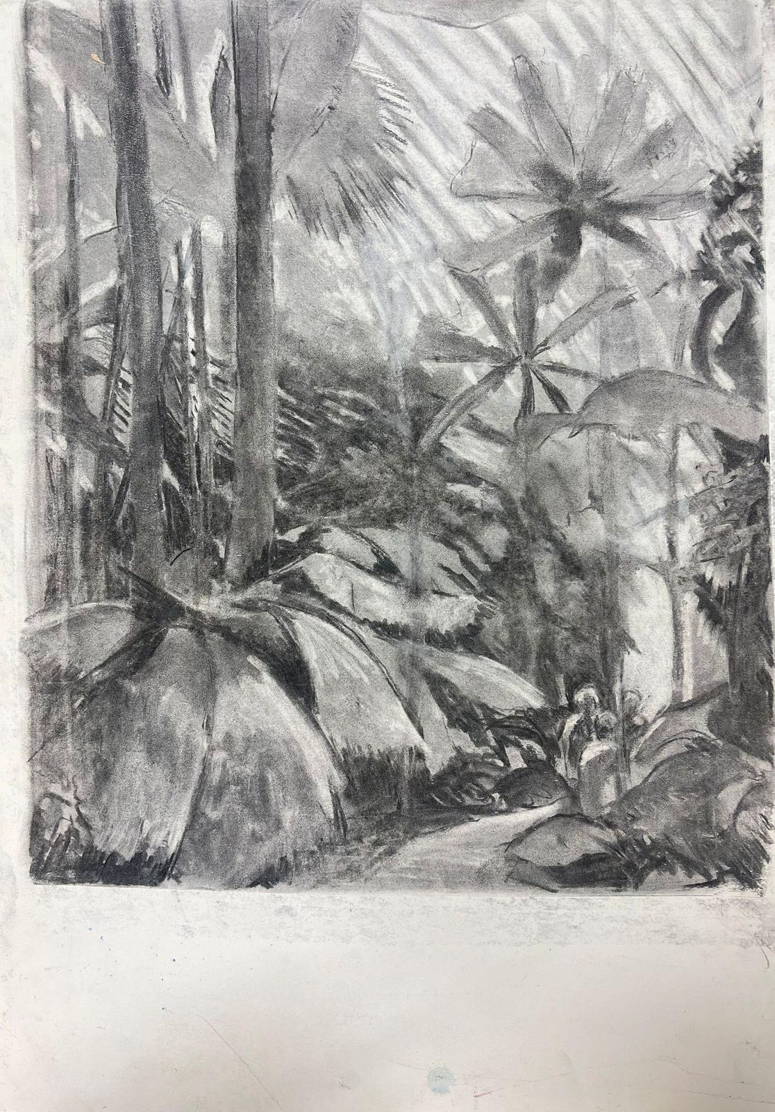 French Schoolmonochromatic Jungle Scene In Charcoal Mystery Of Tropical Wildernessmid 20th Century photo furniture