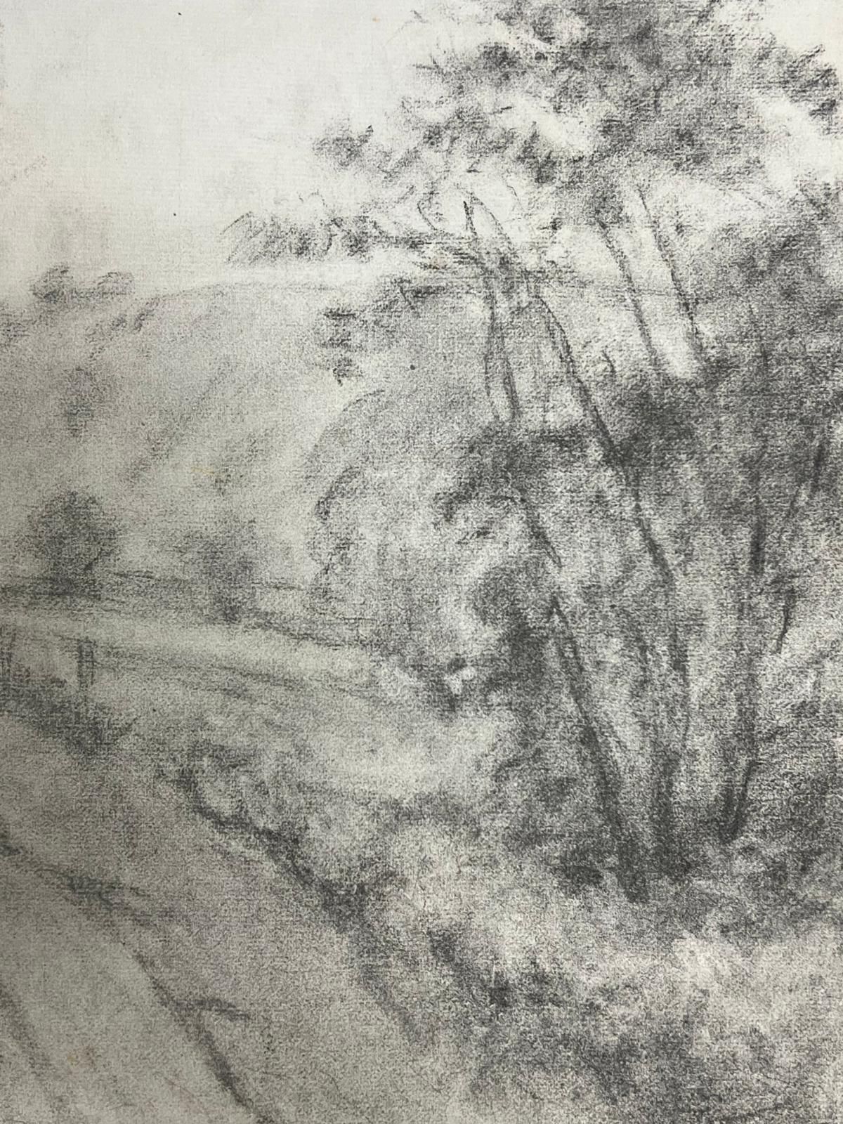 Regine Davidmisty Country Road Through Woodland Atmospheric Charcoal Landscape1957 photo for sale