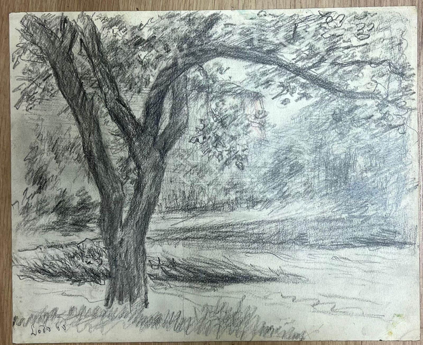 Regine Davidstudy Of A Tree In A Peaceful Meadow With Branches Stretching Out Landscape1957 photo furniture