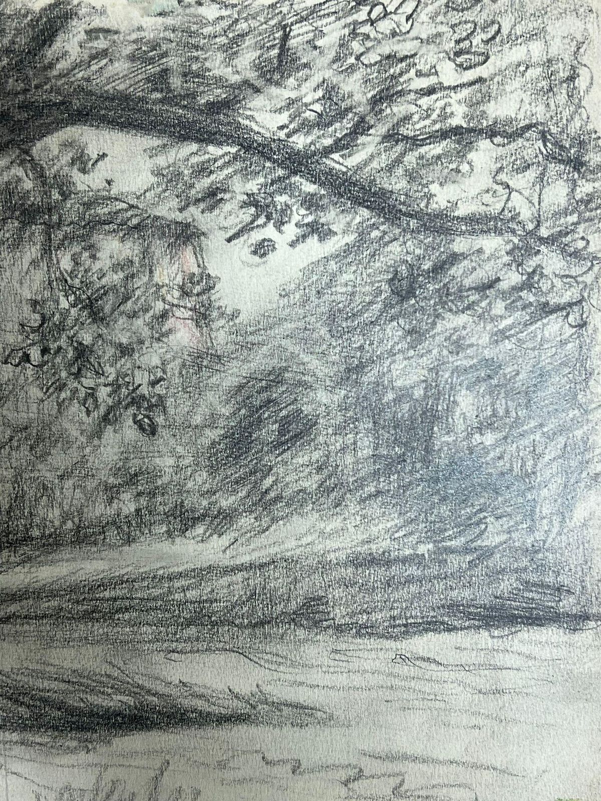 Regine Davidstudy Of A Tree In A Peaceful Meadow With Branches Stretching Out Landscape1957 photo Art