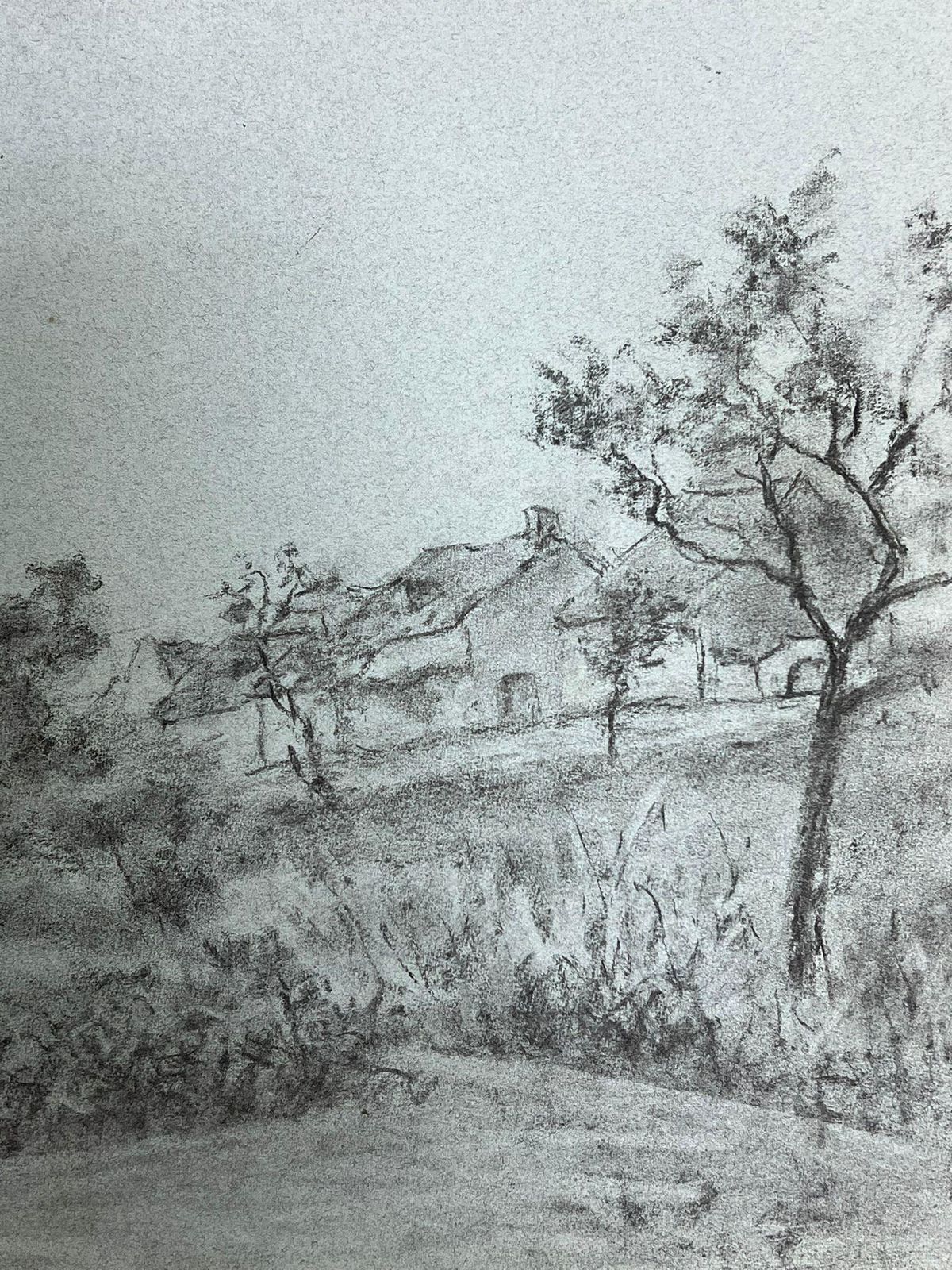 Regine Davidquiet Countryside Scene With Trees And Distant Cottage Serene Charcoal Drawing1947 photo Art