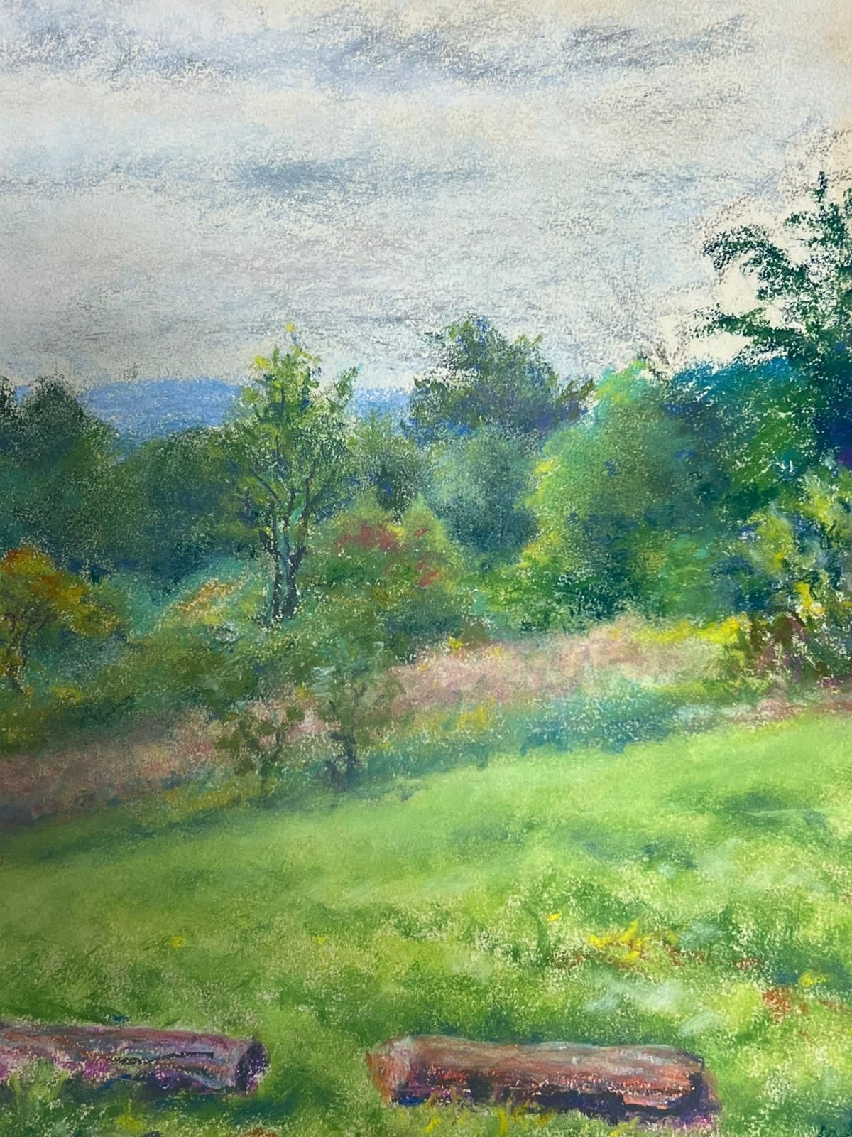 Regine Davidvintage Landscape With Rolling Hills Countryside With Vibrant Green Meadow1954 photo 504.0