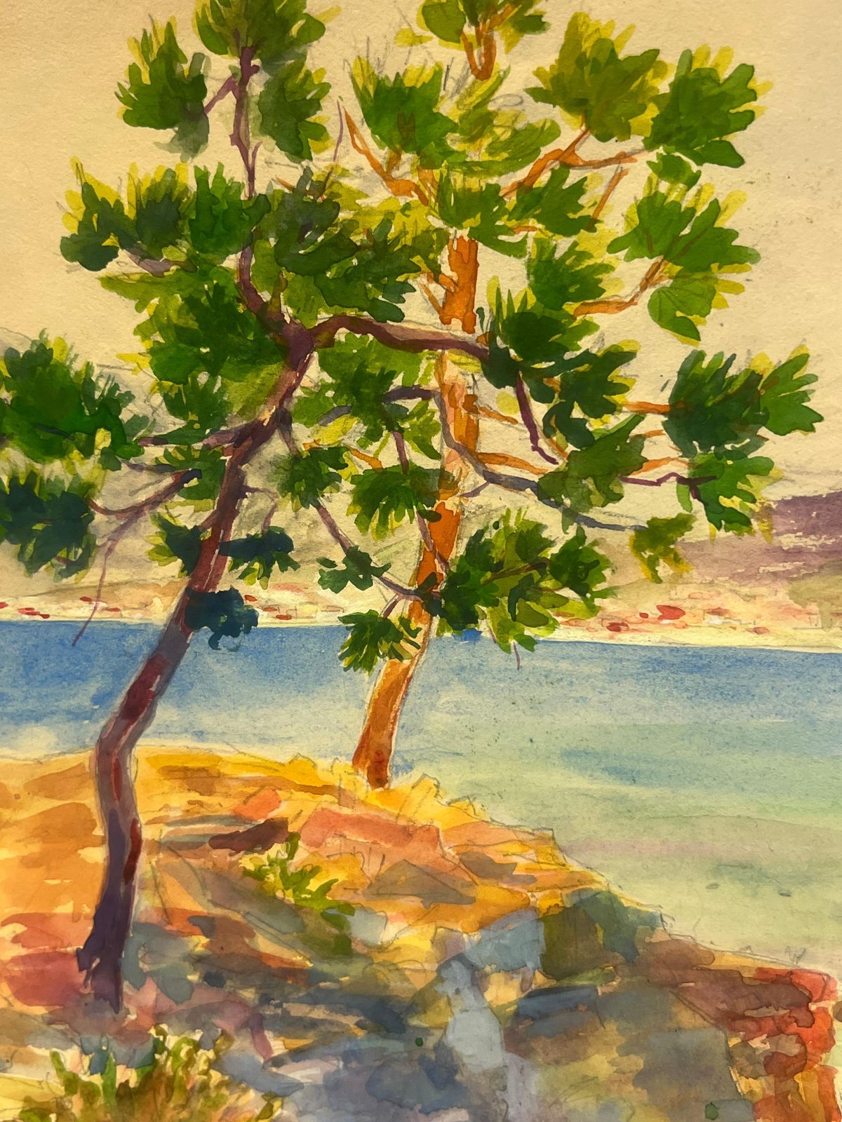 Regine Davidmediterranean Coastline With Pine Tree And Sailboat St Tropez Landscape1937 photo furniture