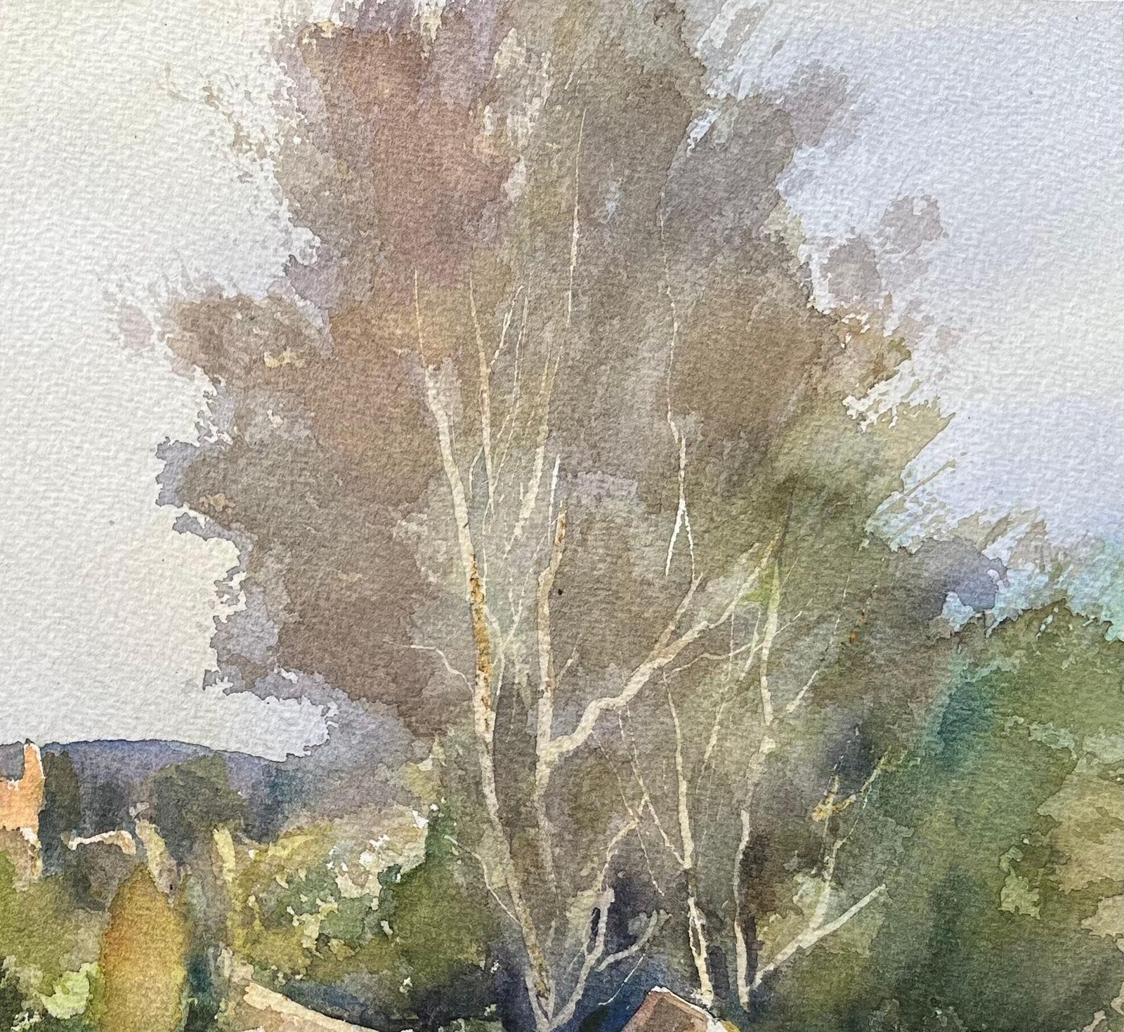 Anthony Averybritish Impressionist Watercolor Of Shaded Woodland Path With Sunlit Openings photo Art