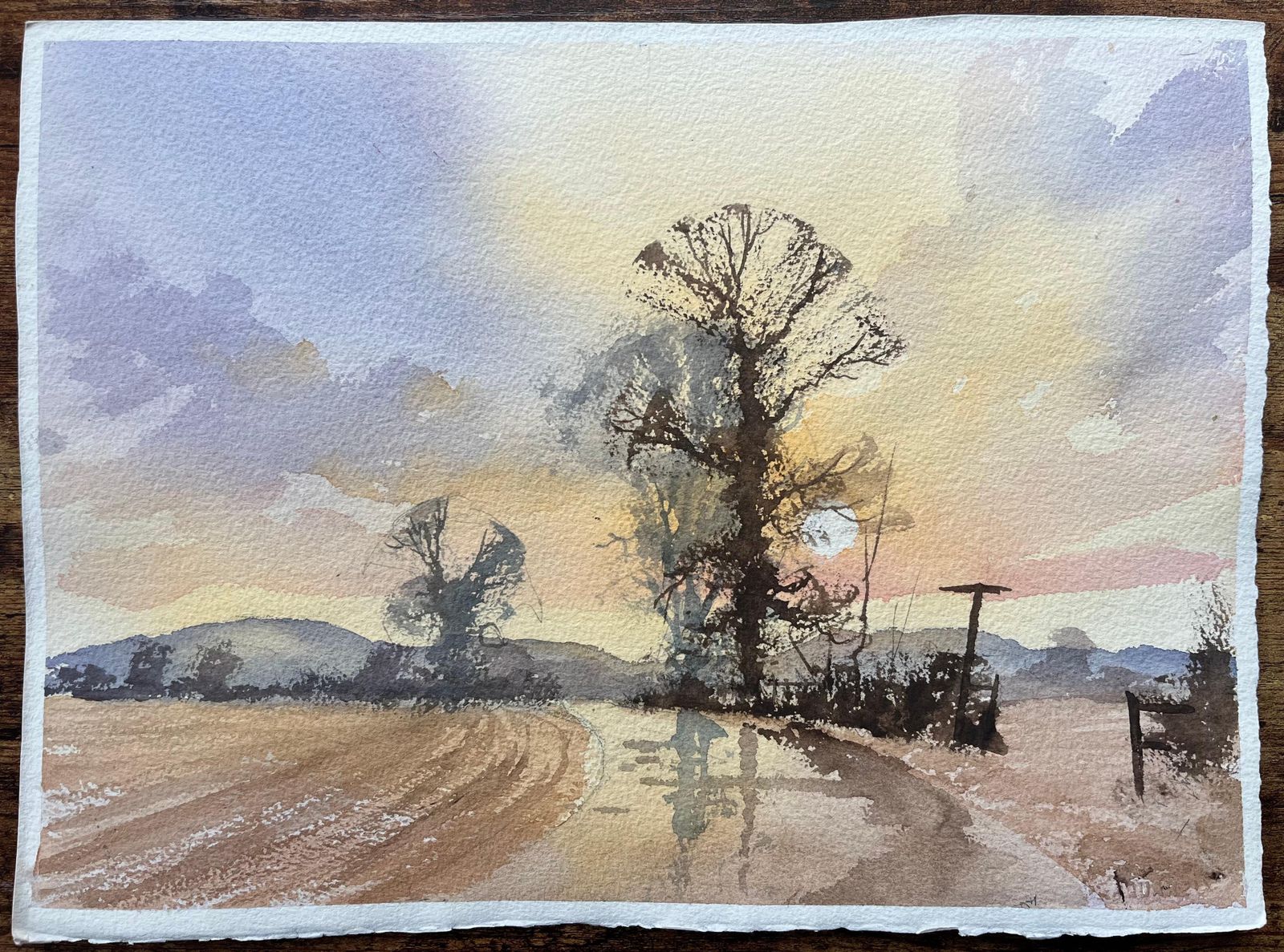 Anthony Averybritish Impressionist Watercolor Of Landscape At Dusk With Trees And Shadows photo Art