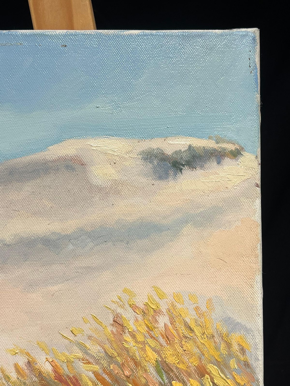 Georges Bordonovecoastal Sand Dunes Landscape Sunlit Impressionist French Oil Painting photo vintage