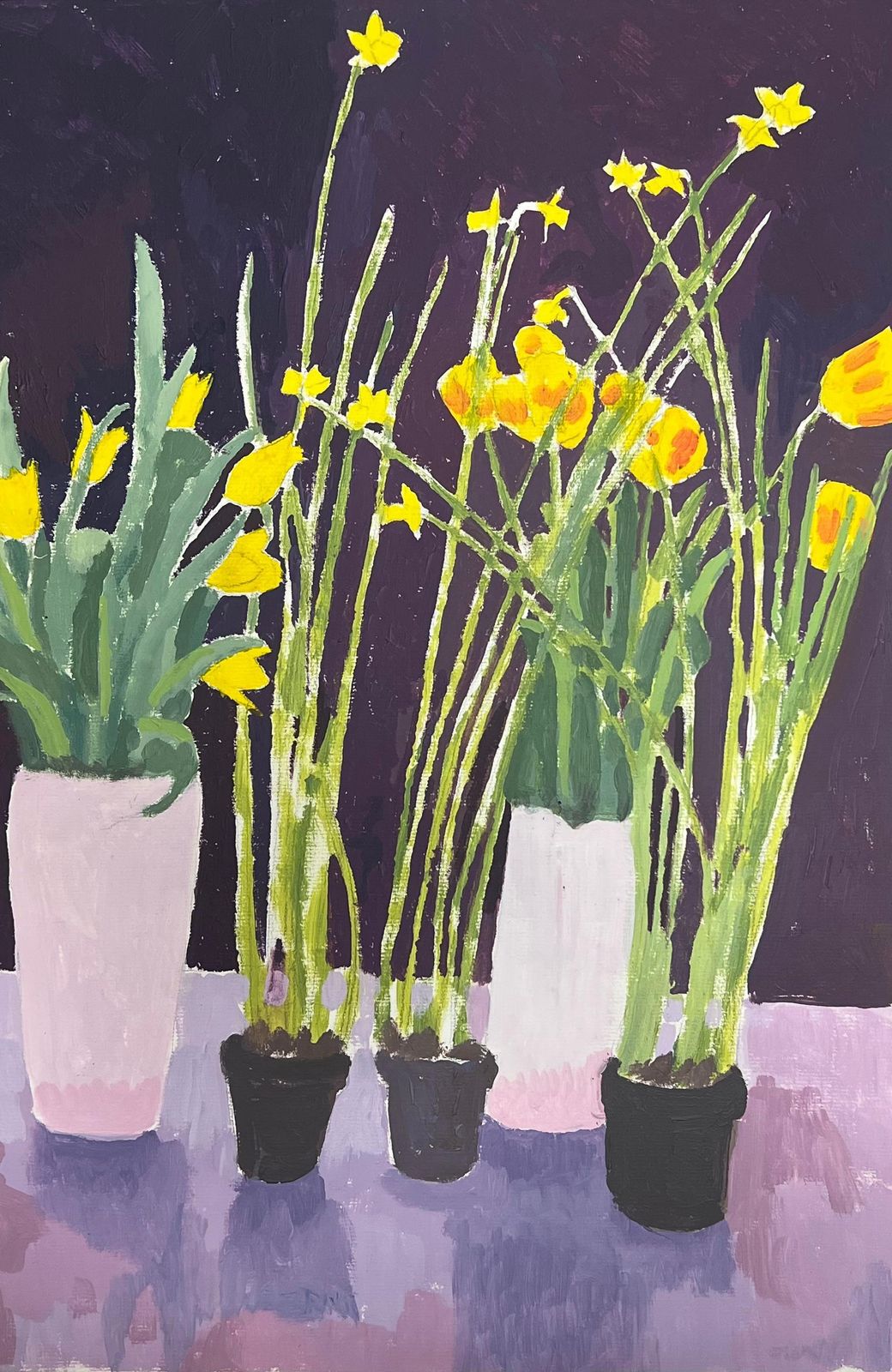 Helen Greenfieldbright Yellow Daffodils And Tulips In A Deep Purple Background
