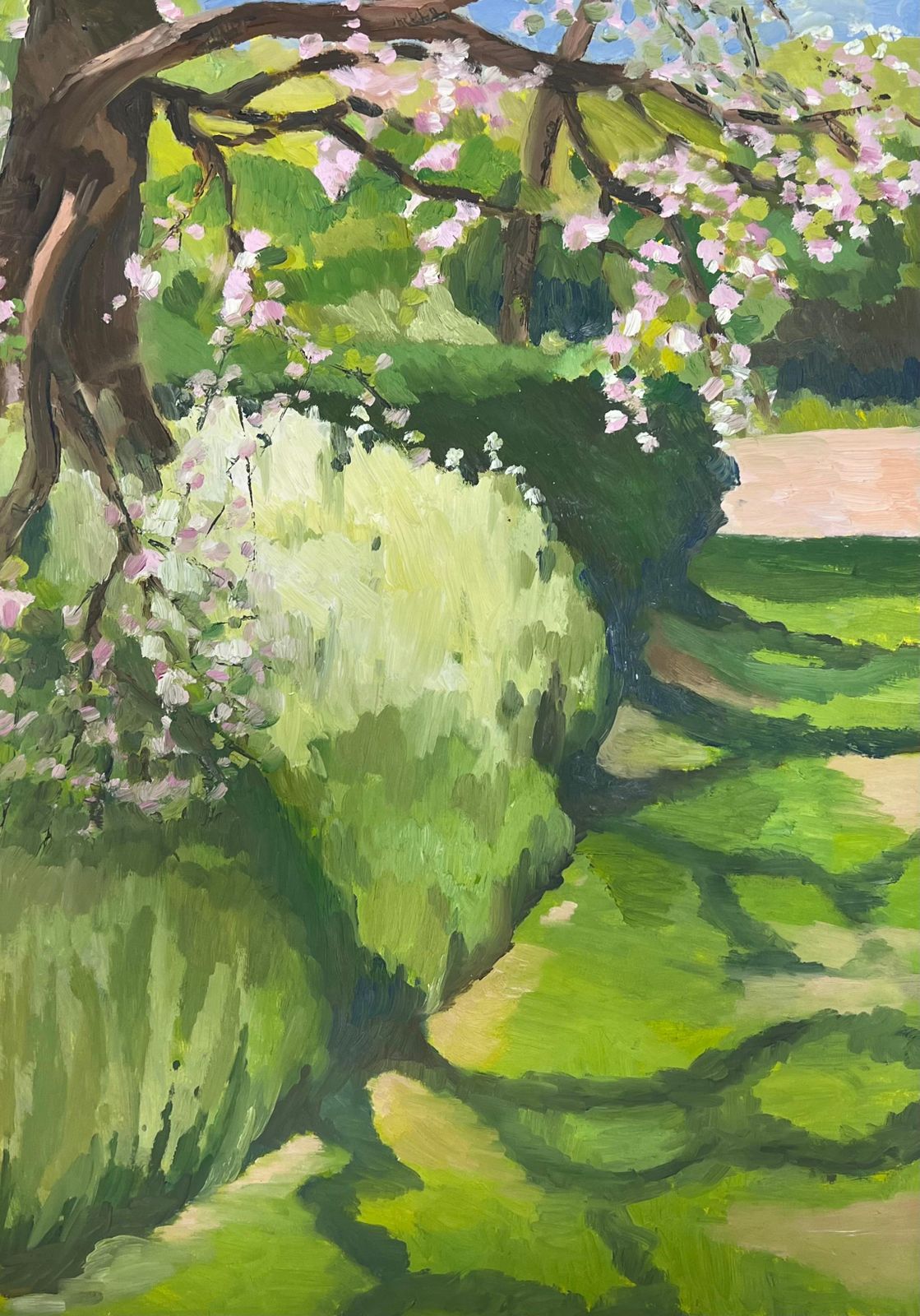 Jill Jacksonsunlit Garden Path With Blooming Cherry Blossoms Vibrant Green Foliage