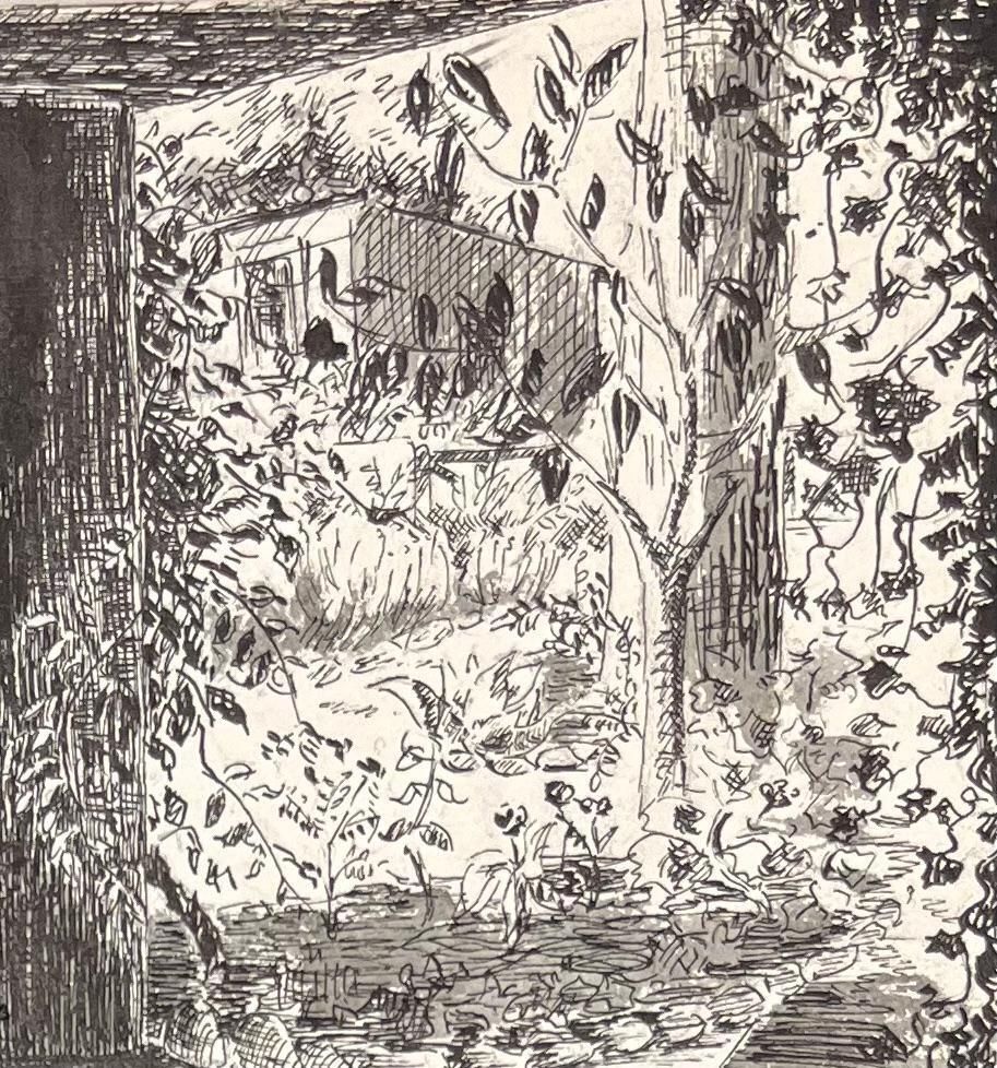 Josine Vignonmid Century French Ink Illustration Of A Shaded Garden View Through A Porch1950's photo vinterior