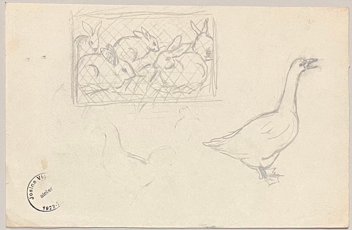 Josine Vignonmid Century French Pencil Study Of Various Animals1945 photo 178.0