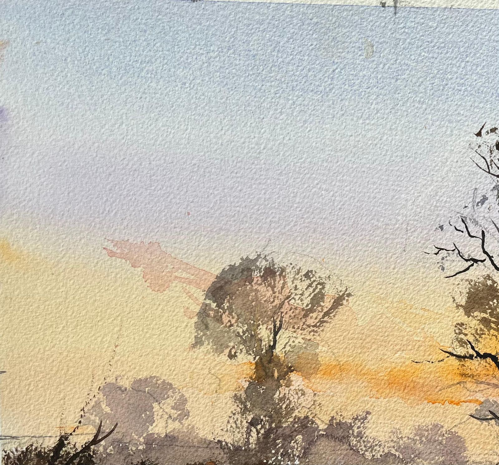 Anthony Avery British Watercolor Landscape With Tree Silhouettes At Sunset photo vinterior