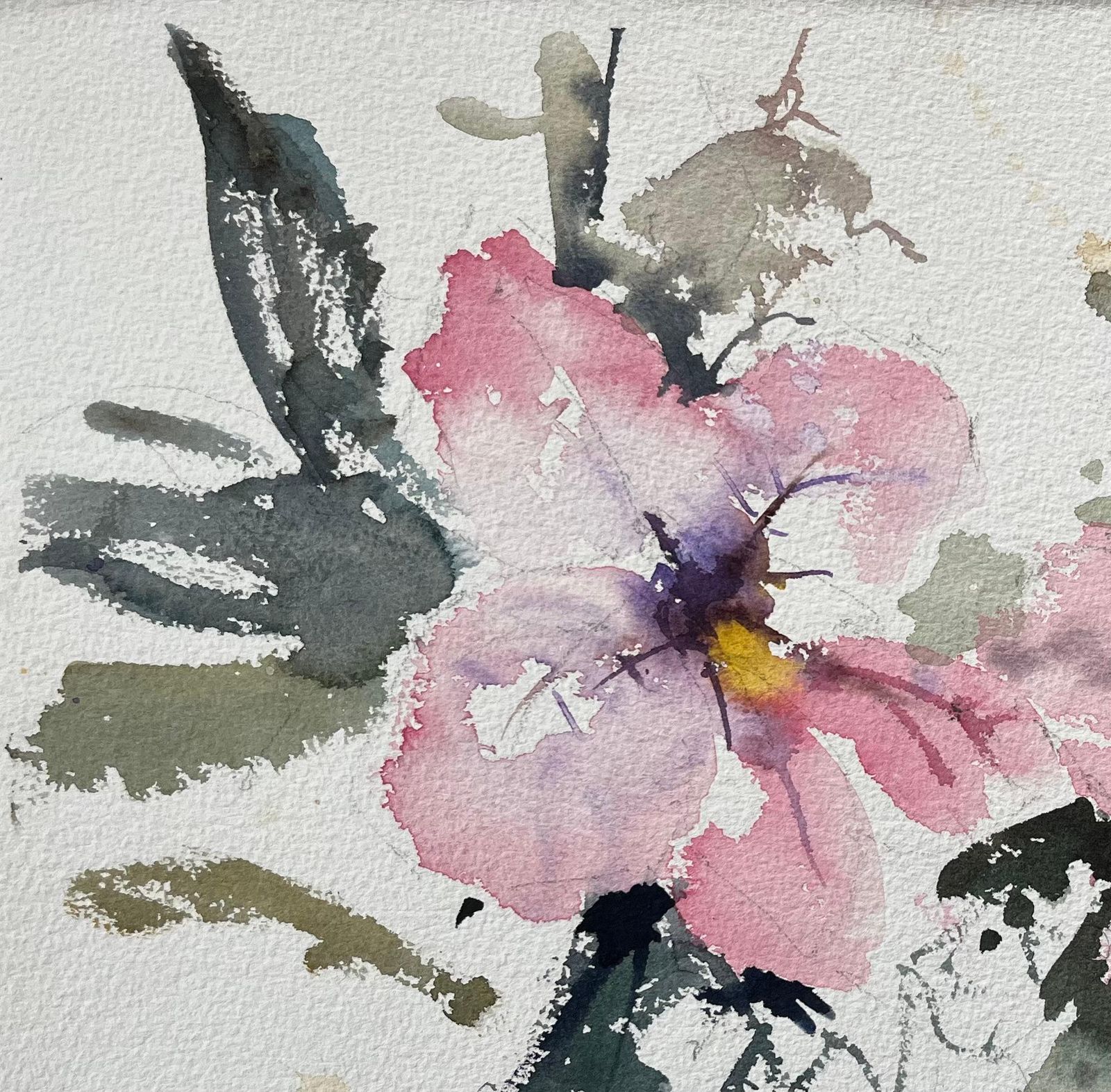 Anthony Avery British Original Watercolor Of Pink Blossoms With Bee photo 445.0