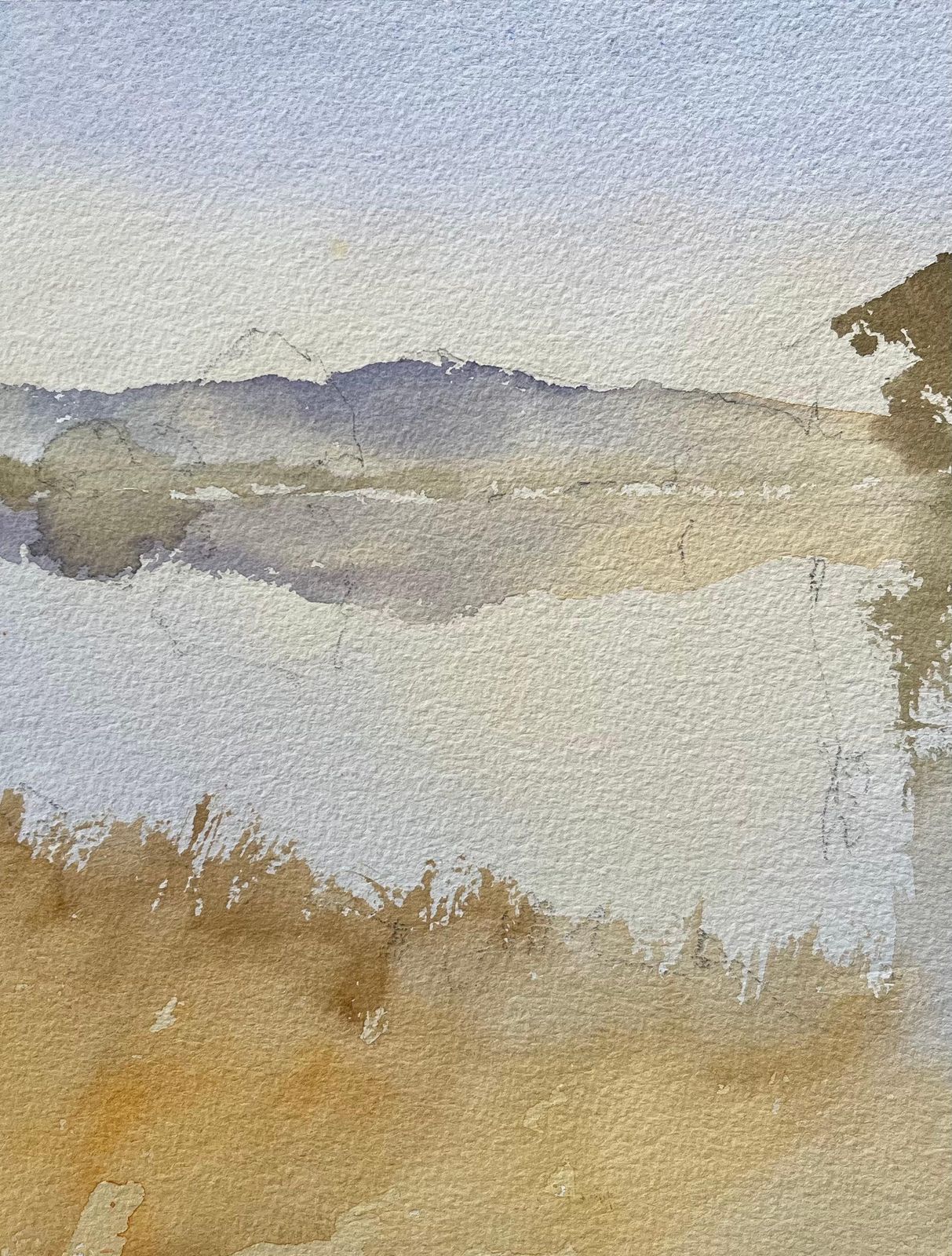 Anthony Avery British Original Watercolor Of A Misty Lakeside Landscape photo Art