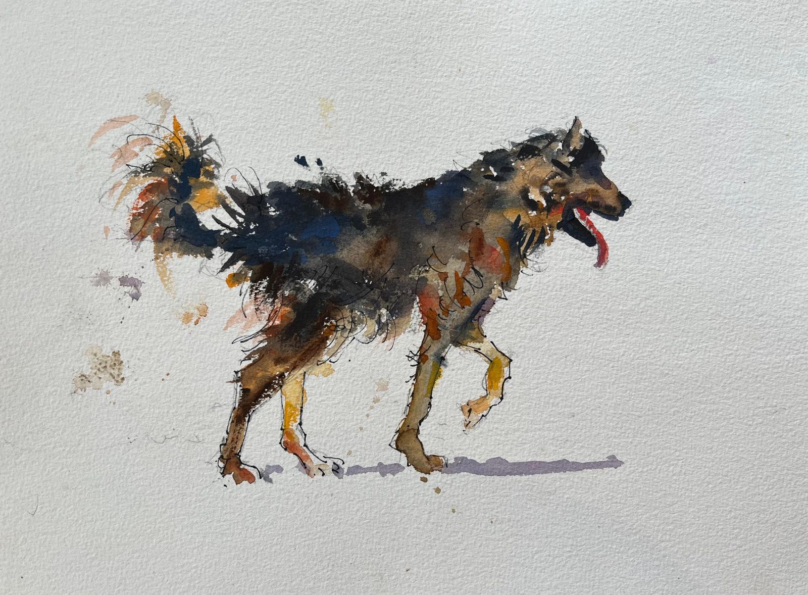 Anthony Avery British Impressionist Watercolor Of A Playful Canine In Motion
