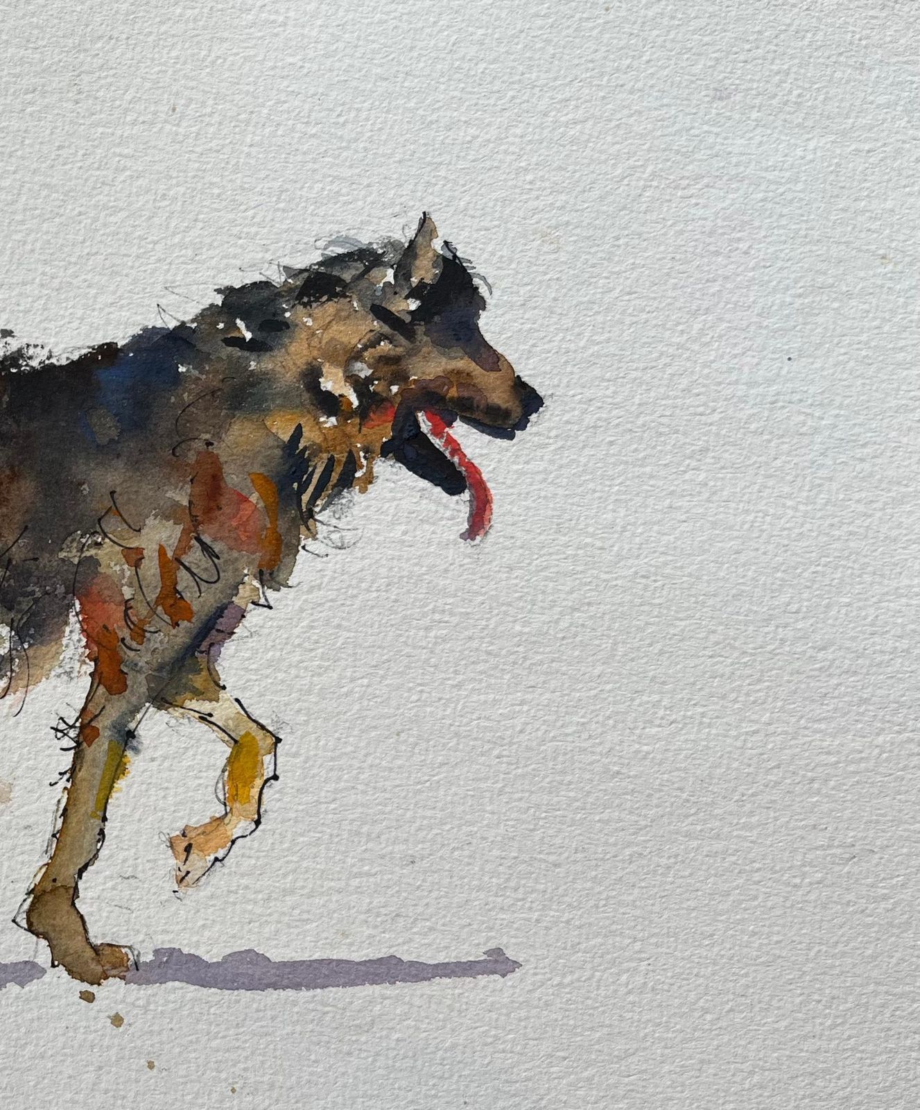 Anthony Avery British Impressionist Watercolor Of A Playful Canine In Motion photo for sale