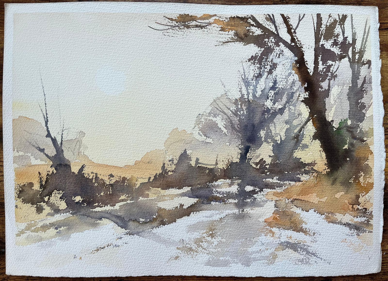 Anthony Avery British Impressionist Watercolor Of Wintery Woodland Path In Soft Light photo furniture