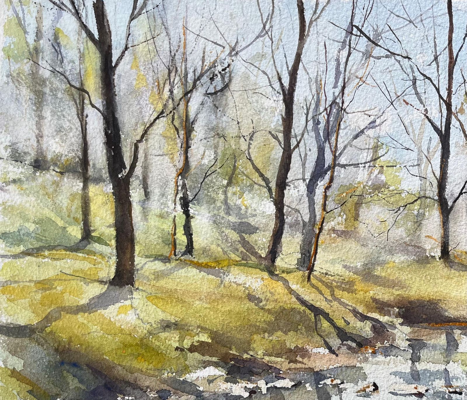 Anthony Avery British Impressionist Watercolor Of A Woodland Stream In Early Spring photo 380.0