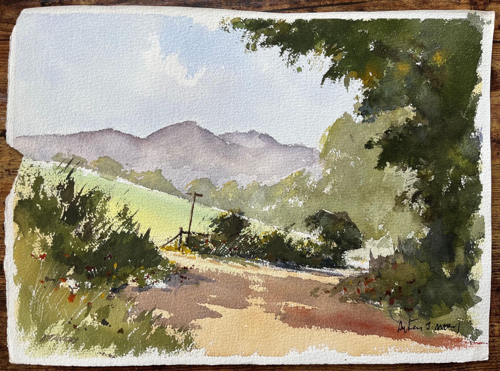 Anthony Avery British Impressionist Watercolor Of A Country Lane With Distant Hills photo furniture