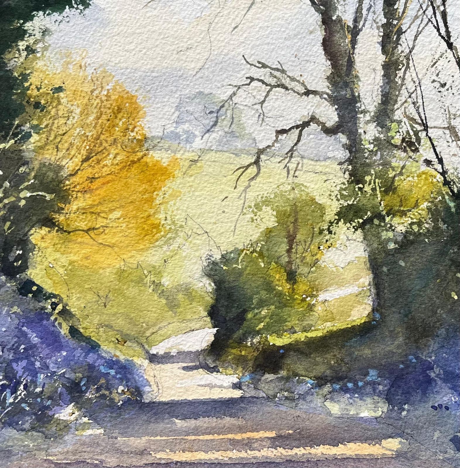 Anthony Avery British Impressionist Watercolor Of Sunlit Country Path Enveloped By Bluebells photo buy