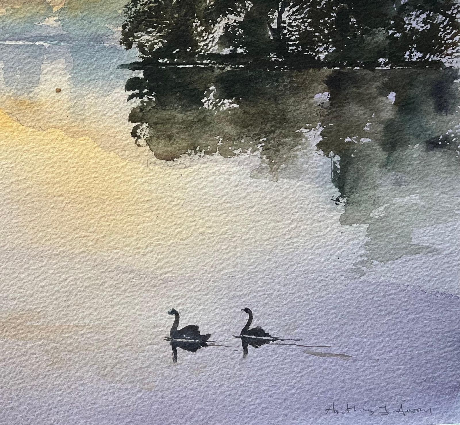 Anthony Avery British Impressionist Watercolor Of Swans Gliding Across A Tranquil Lake At Dawn photo for sale