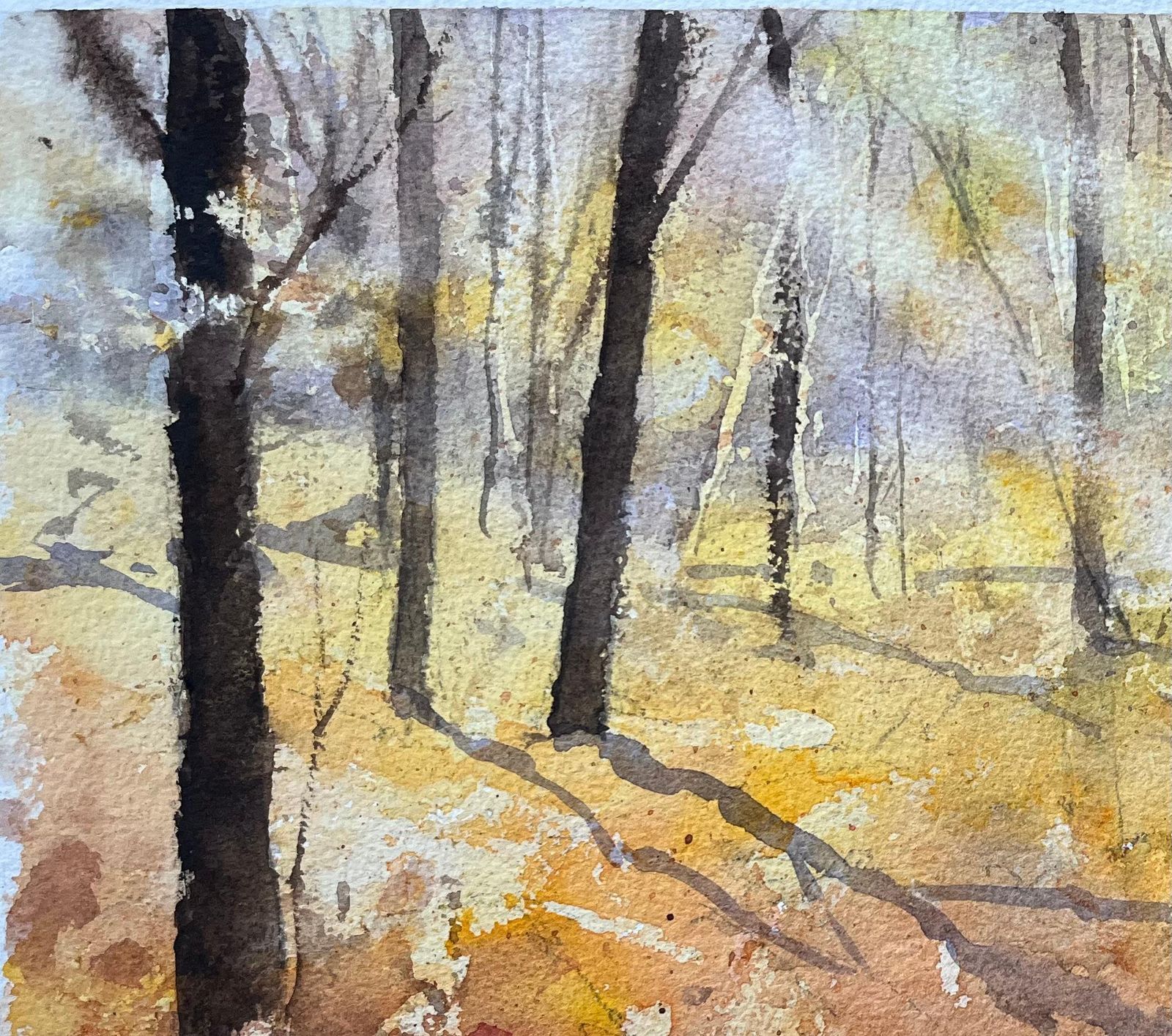 Anthony Avery British Impressionist Watercolor Of A Serene Autumn Woodland Scene photo buy