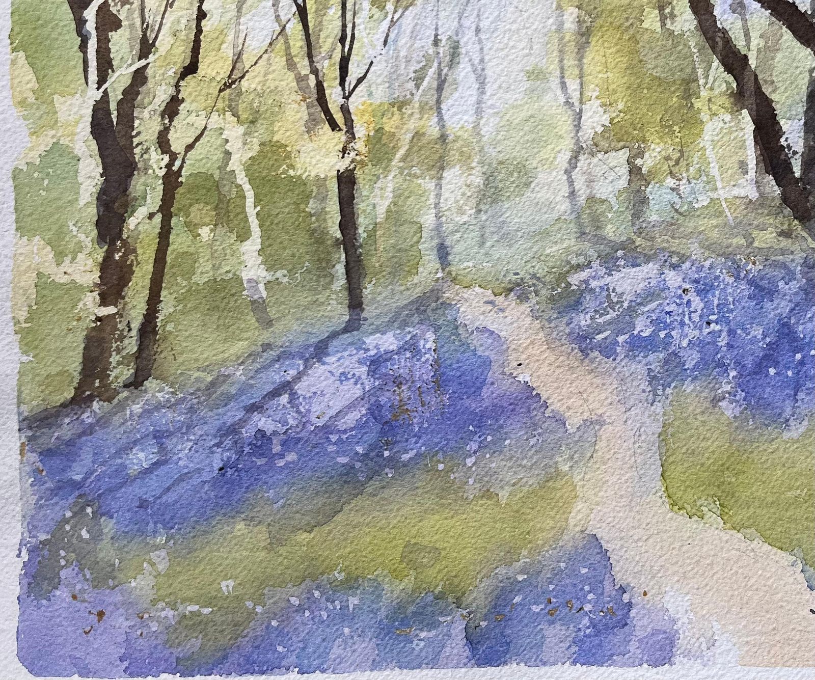 Anthony Avery British Impressionist Watercolor Of A Woodland Path With Spring Bluebells photo 495.0
