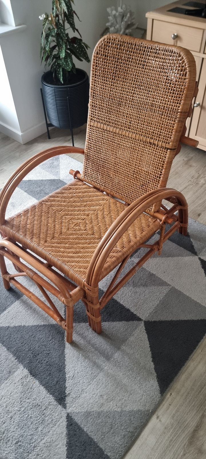 1950   1970 Rattan & Bamboo Lounge Chair photo Furniture