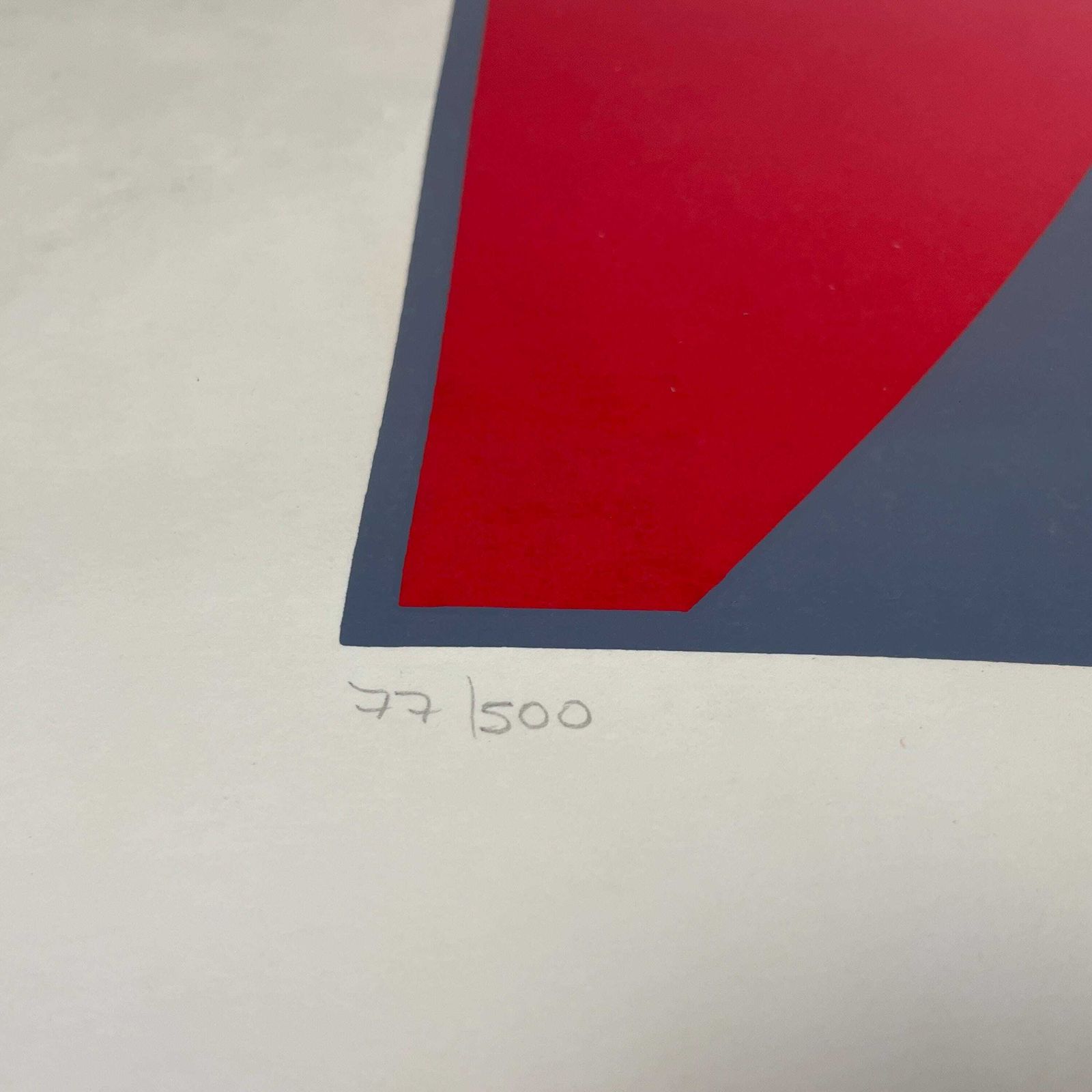 Modern Limited Edition Art Screen Print Signed Numbered 77/500 Floral Vase Contemporary Graphic Wall Art Red Blue Silver Metal Frame photo Art