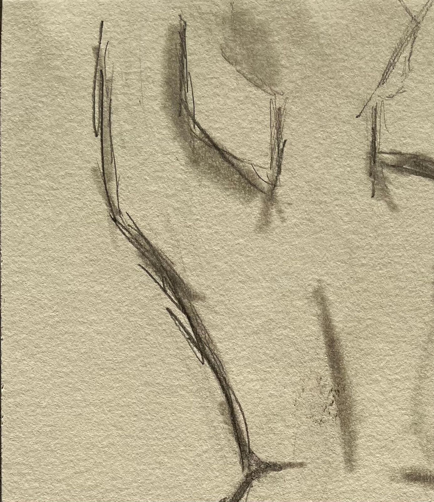 Minty Ramsey Back View Nude Female Figure Sketch Expressive Contemporary Pencil Life Drawing 2025 photo vinterior