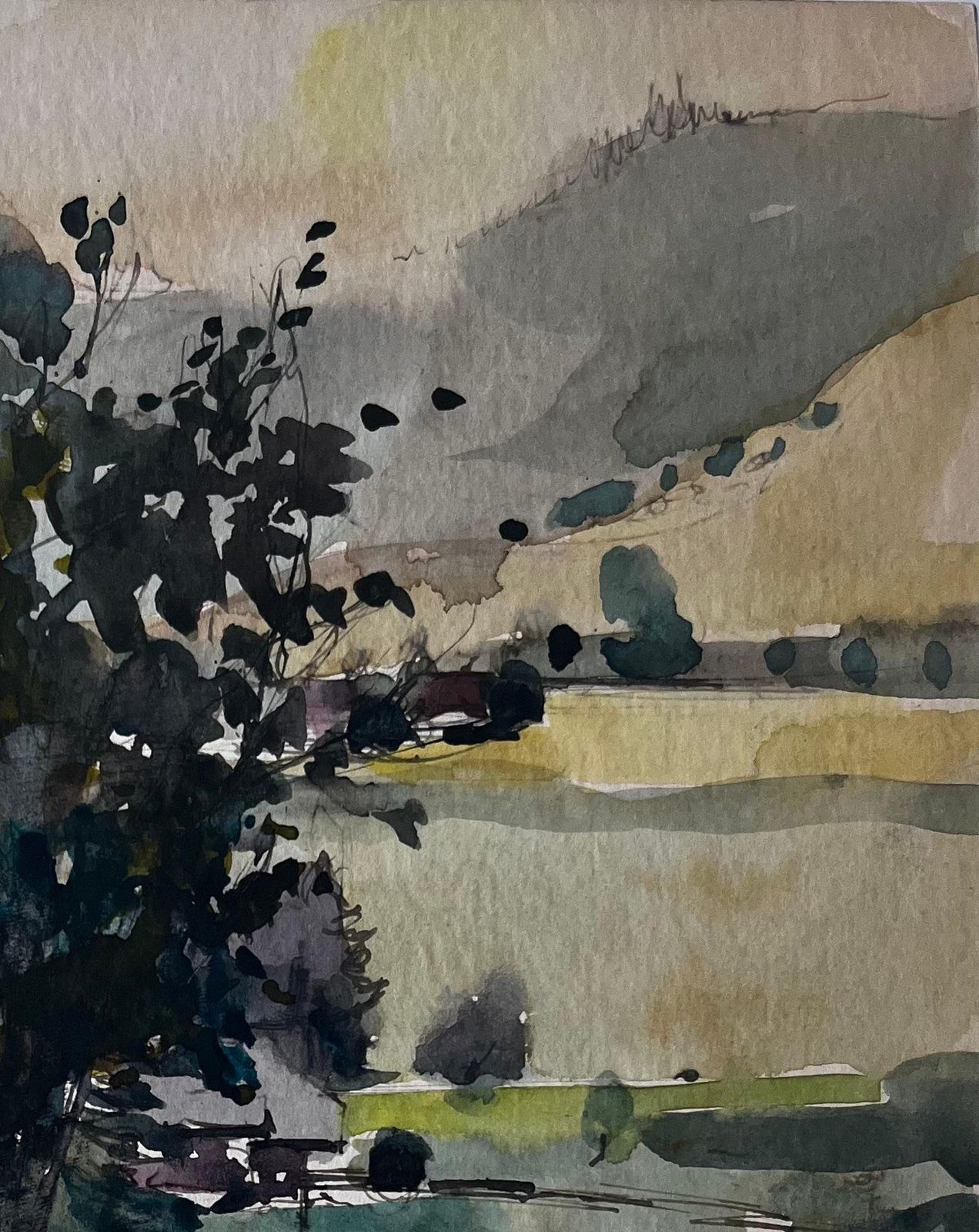 Pierre Neveu Tree In Mountain Valley French Landscape Watercolour By Pierre Neveu photo Art