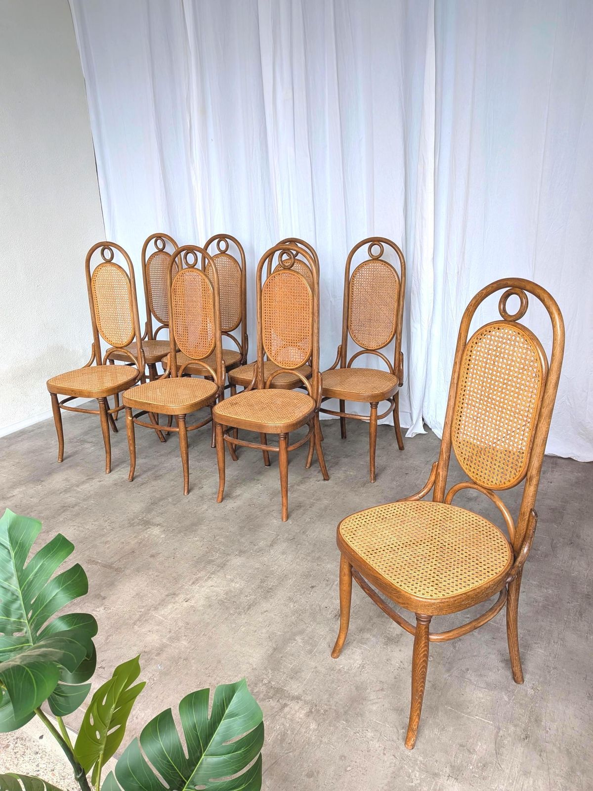 Vintage Bentwood Cane Dining Chair, Thonet Style, 1970s Yugoslavia