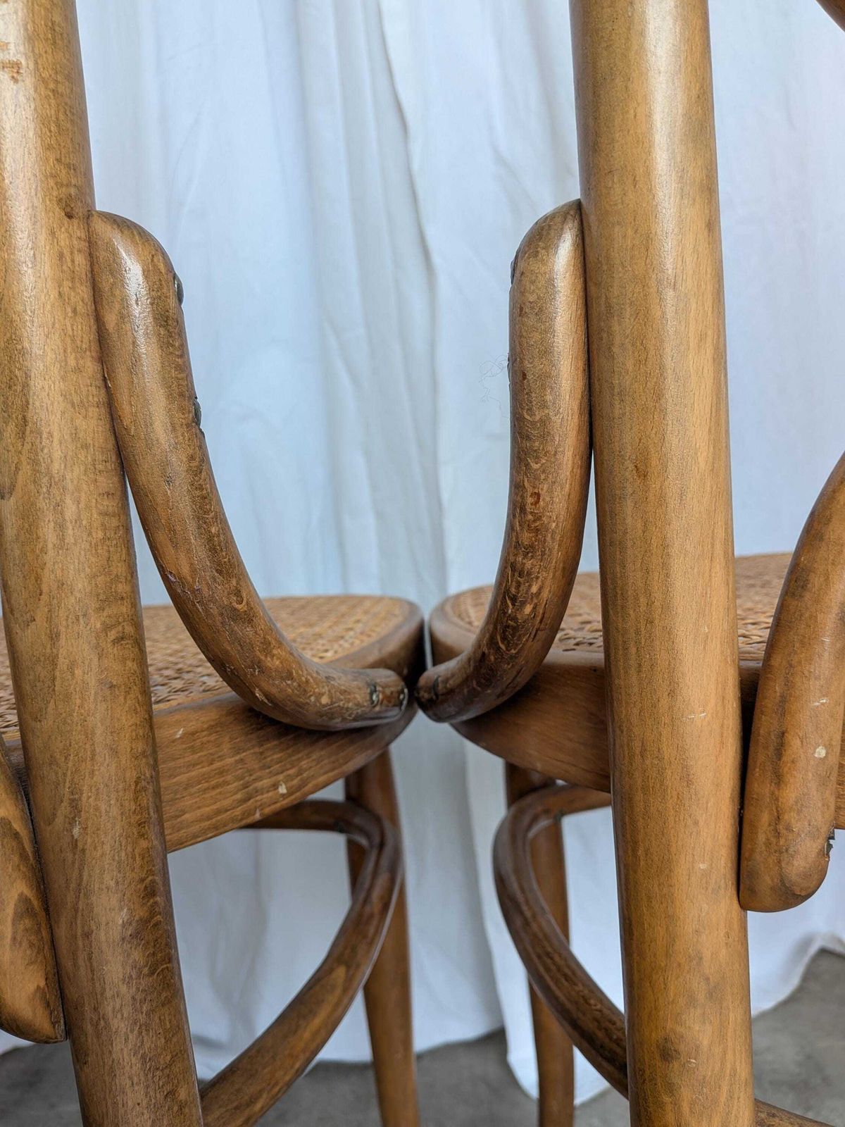 Furniture Vintage Bentwood Cane Dining Chair, Thonet Style, 1970s Yugoslavia photo