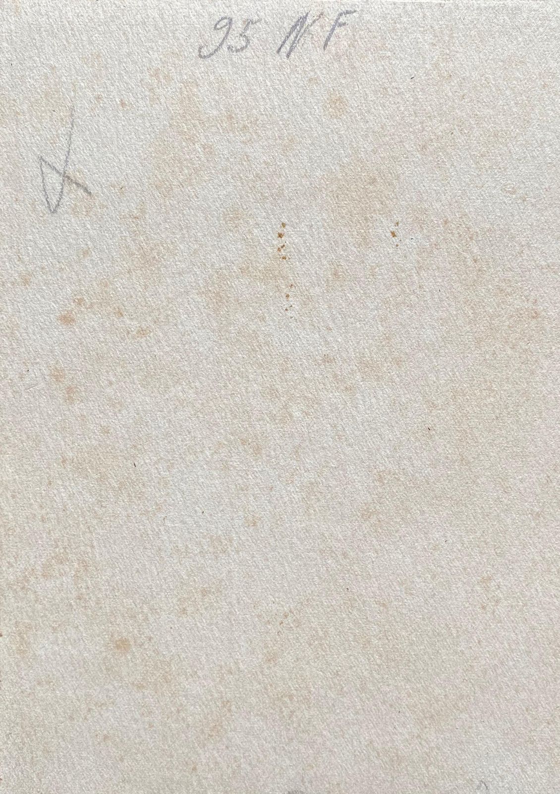 Unknown Early 1900's French Impressionist Signed Flower Watercolour By Marie Carreau Circa 1900s photo 235.0