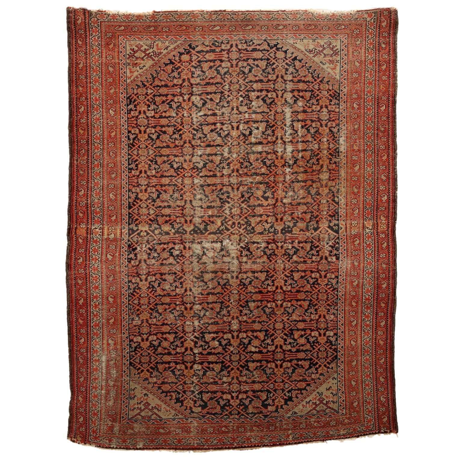 Antique Asian Carpet Cotton Wool Extra Thin Knot 71 X 51 In