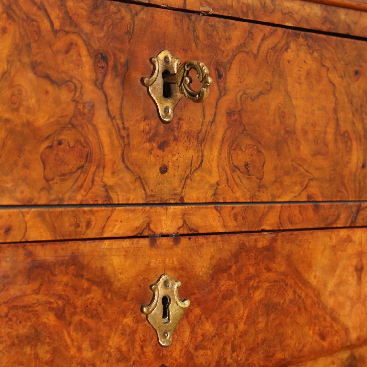 Furniture Antique Biedermeier Secretaire Feather Walnut Burl Austria XIX Century photo