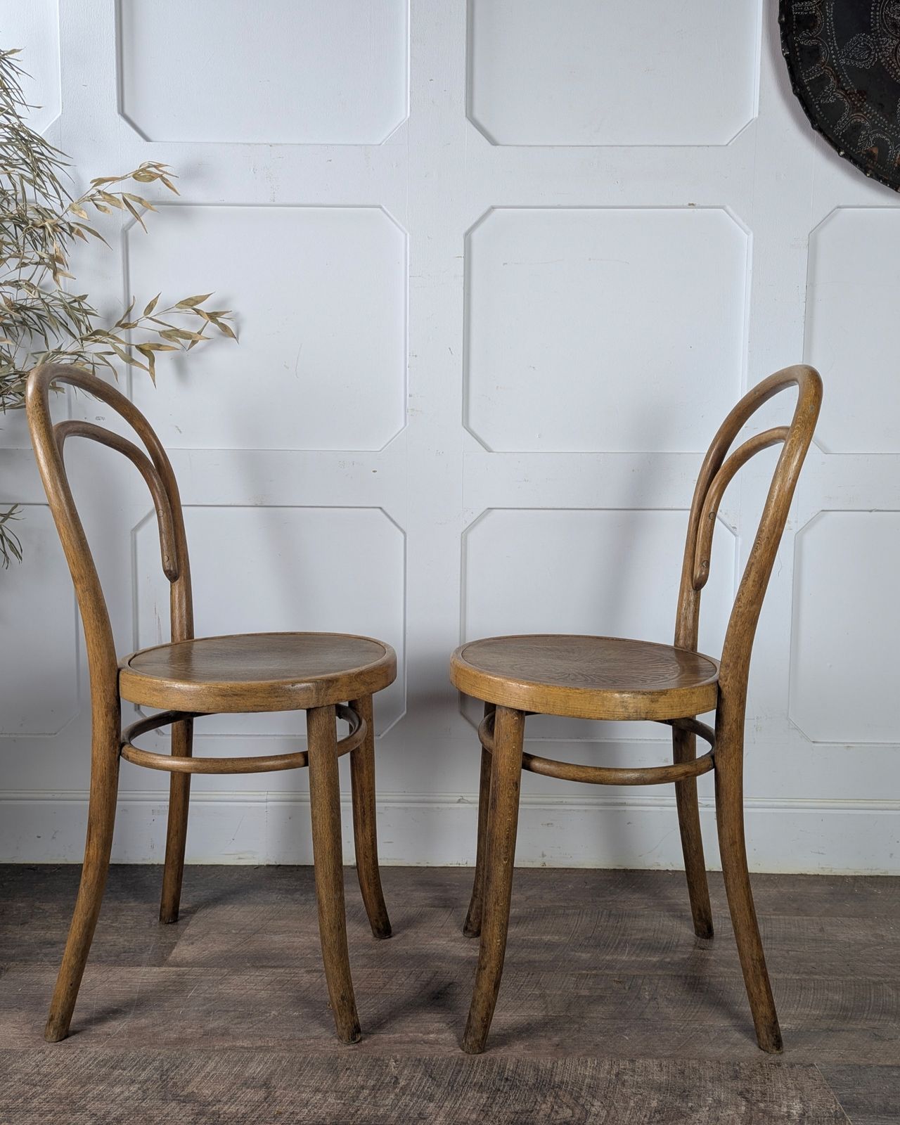 Pair Of Early 20th Century Thonet Bentwood Chairs photo vinterior