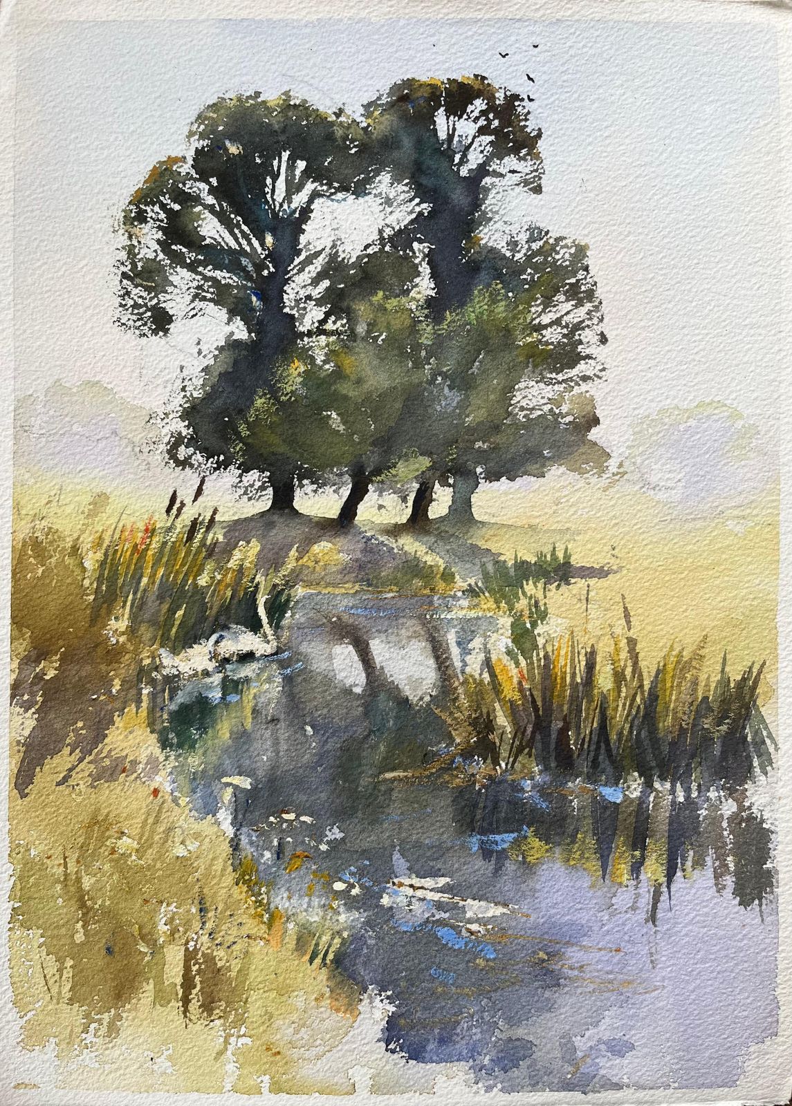 Anthony Avery British Original Watercolor Of A Marshland With Trees, Reflections, And Swans